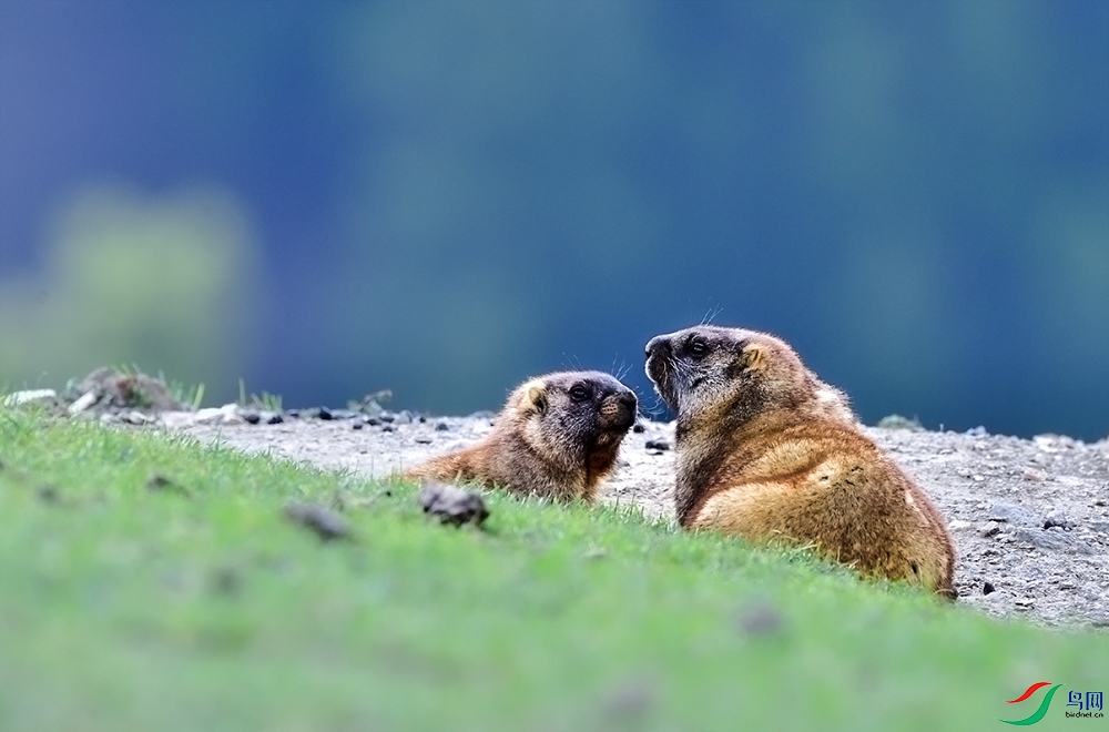 DSC_6899 ����.jpg