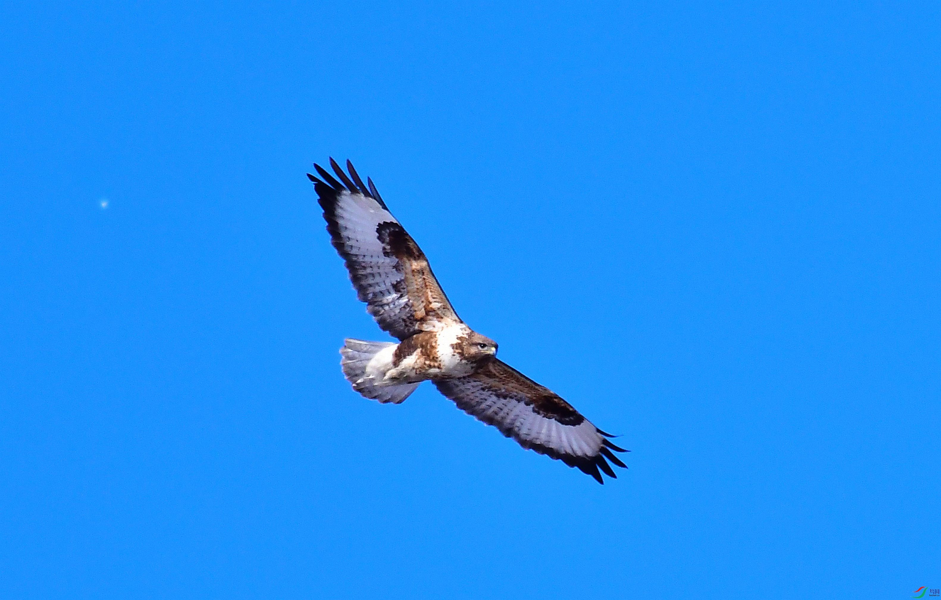 DSC_4170.JPG