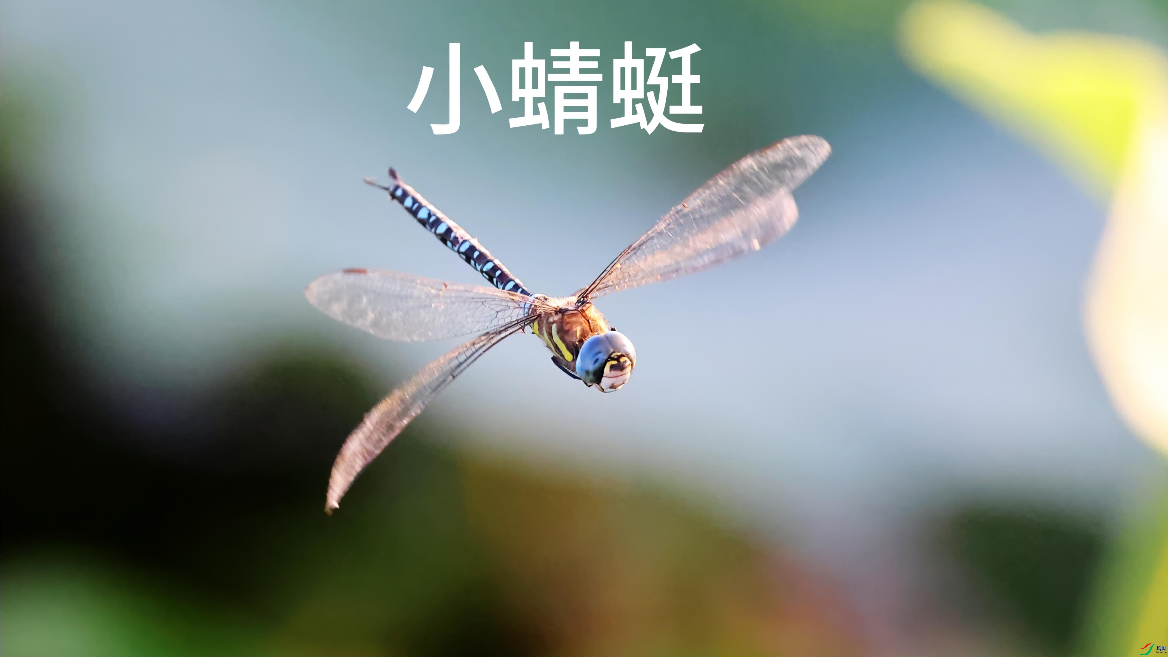 8��27�� (1)-����.jpg