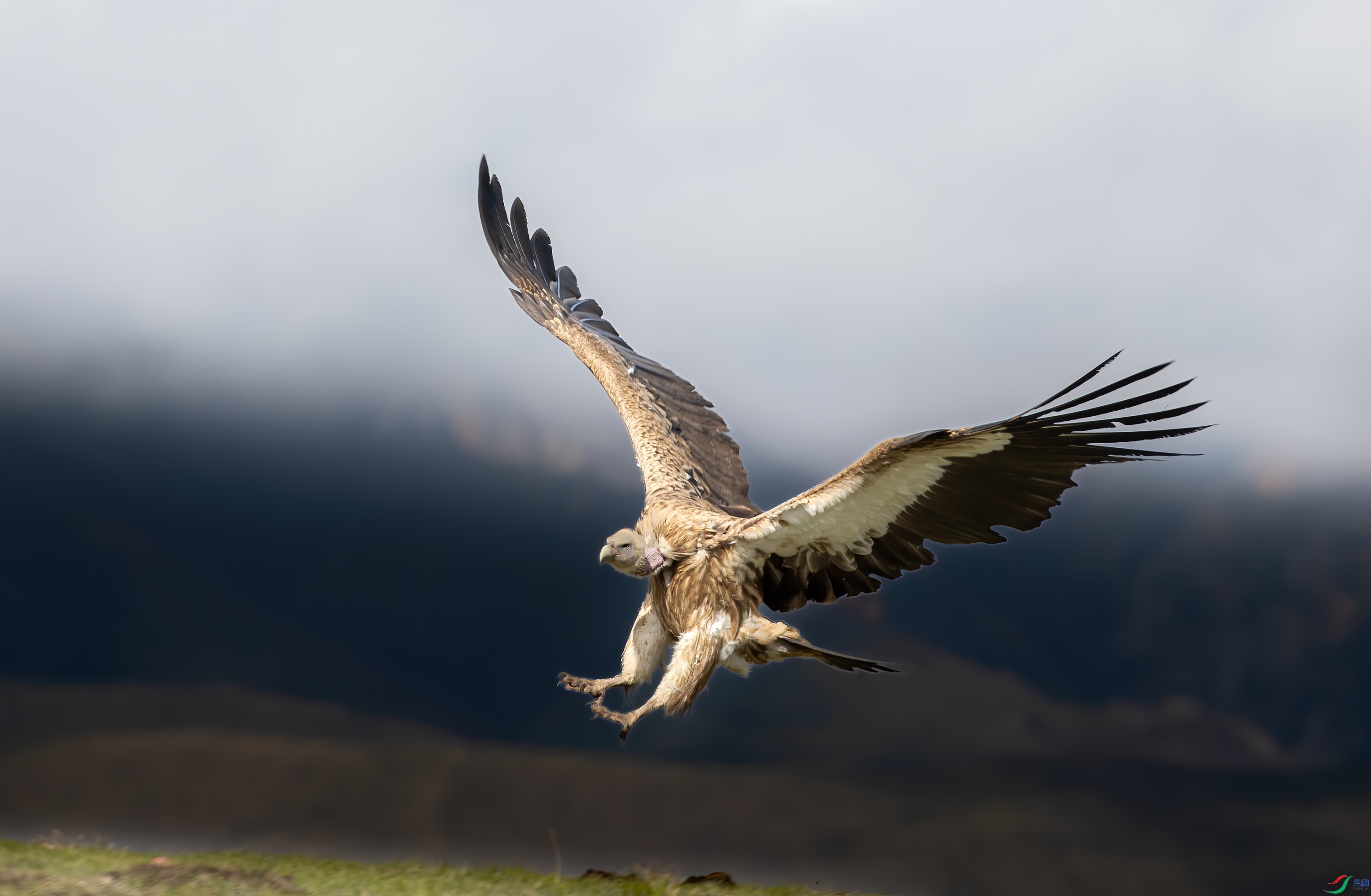 A15I3276 ����.jpg7--12.jpg