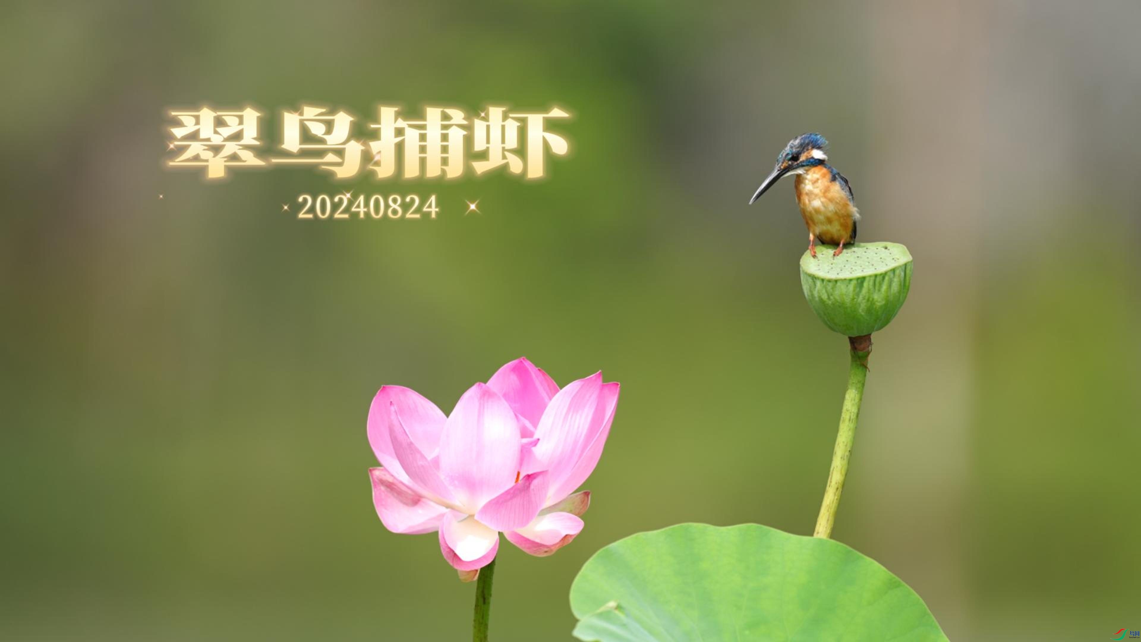 8��27�� (1)(1)-����.jpg