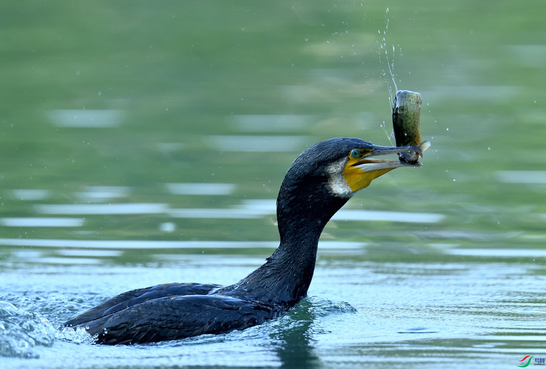 DSC_5061.JPG