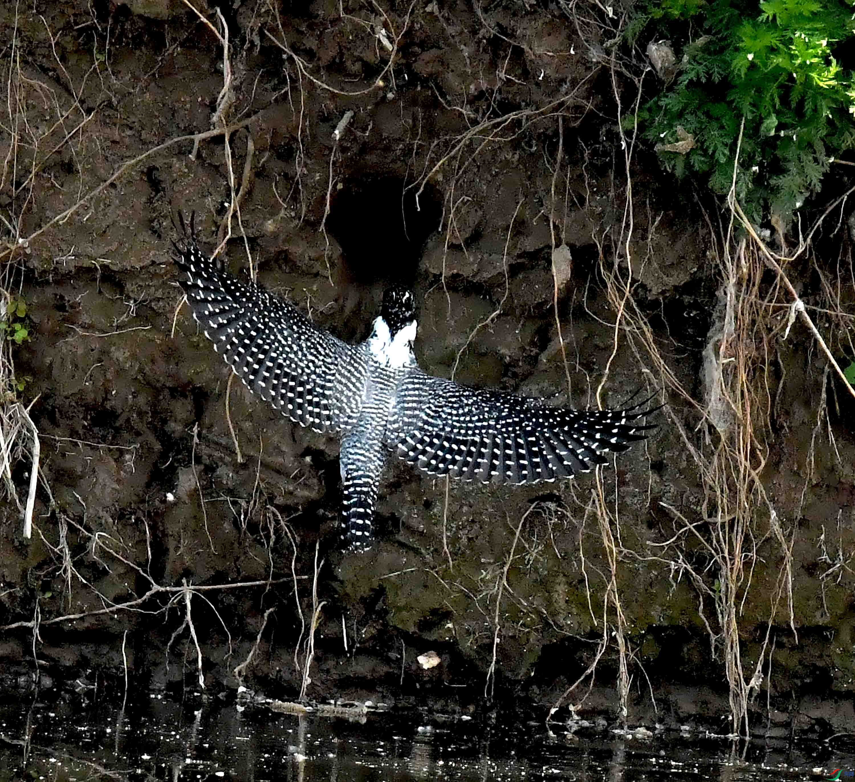 DSC_3201.JPG