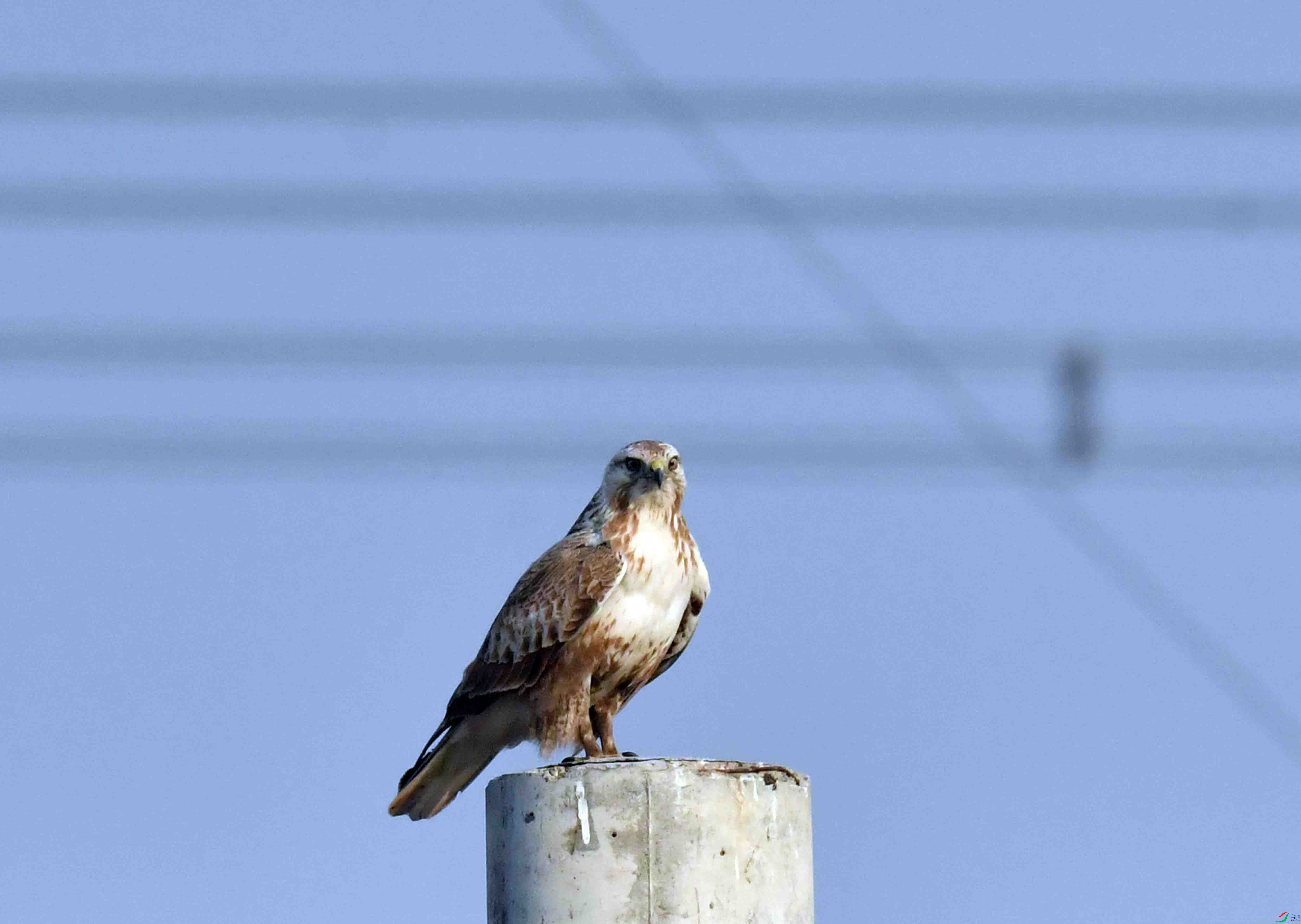 DSC_6170.JPG