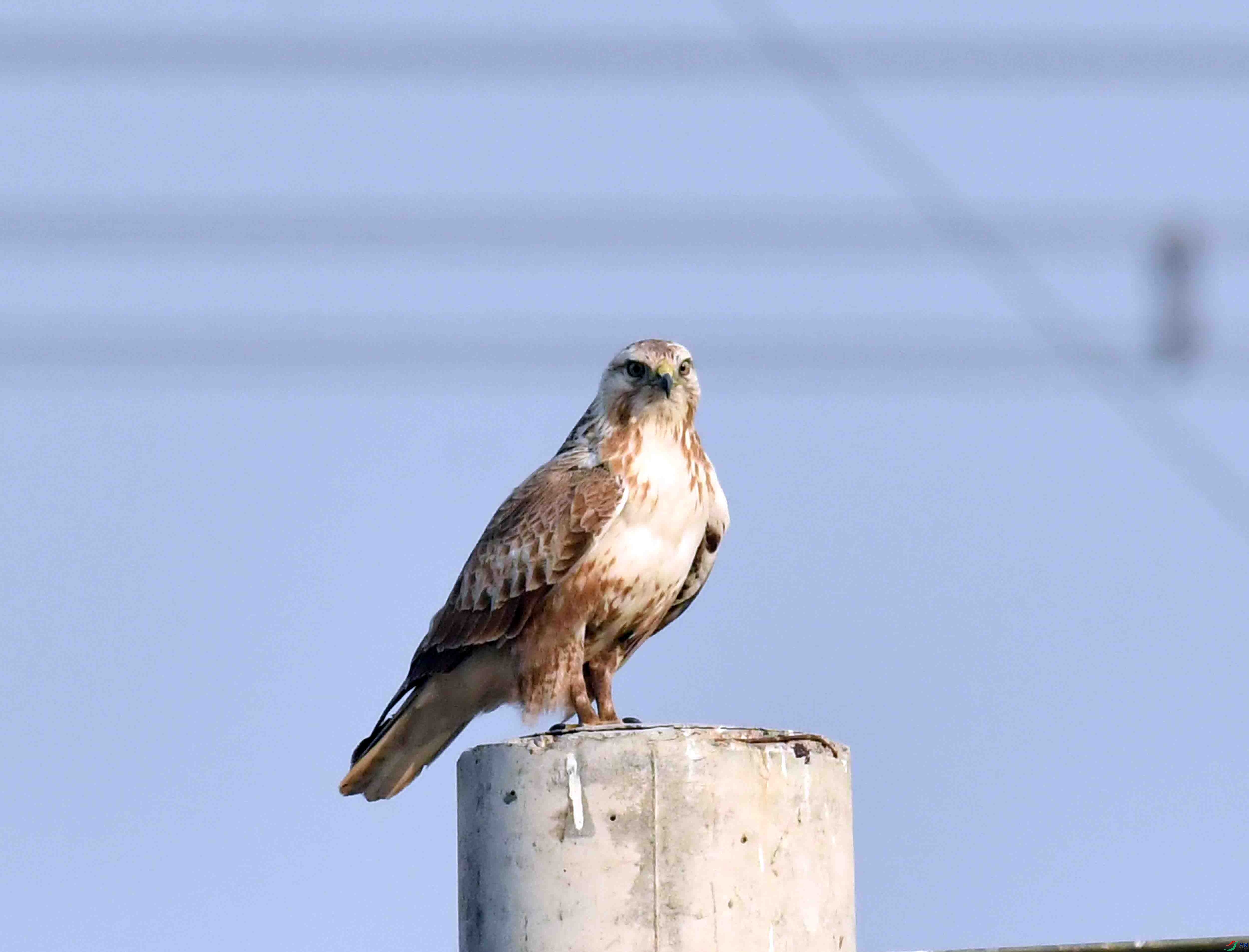 DSC_6171.JPG