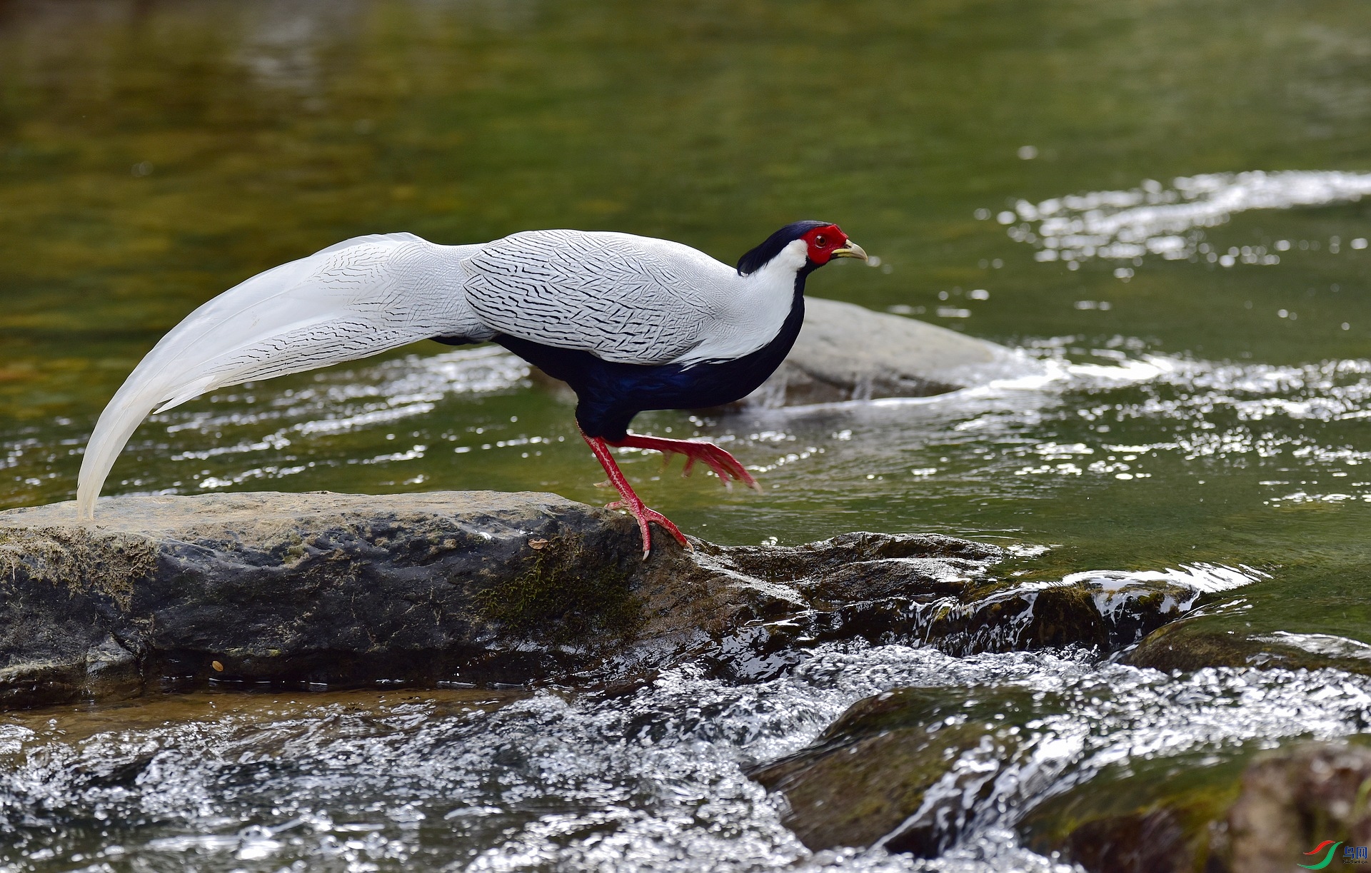D8I_0961.jpg