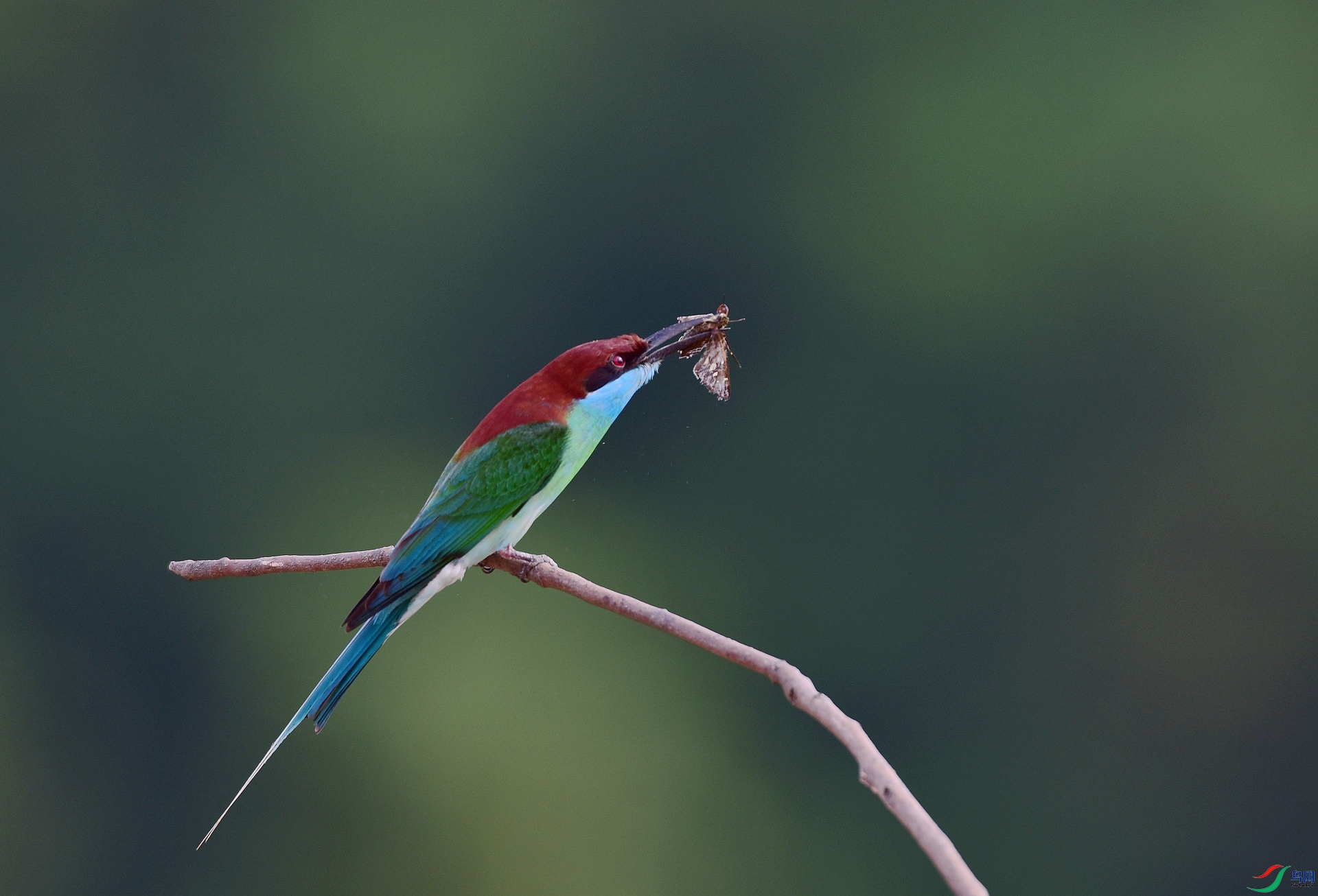 D8I_5535.jpg