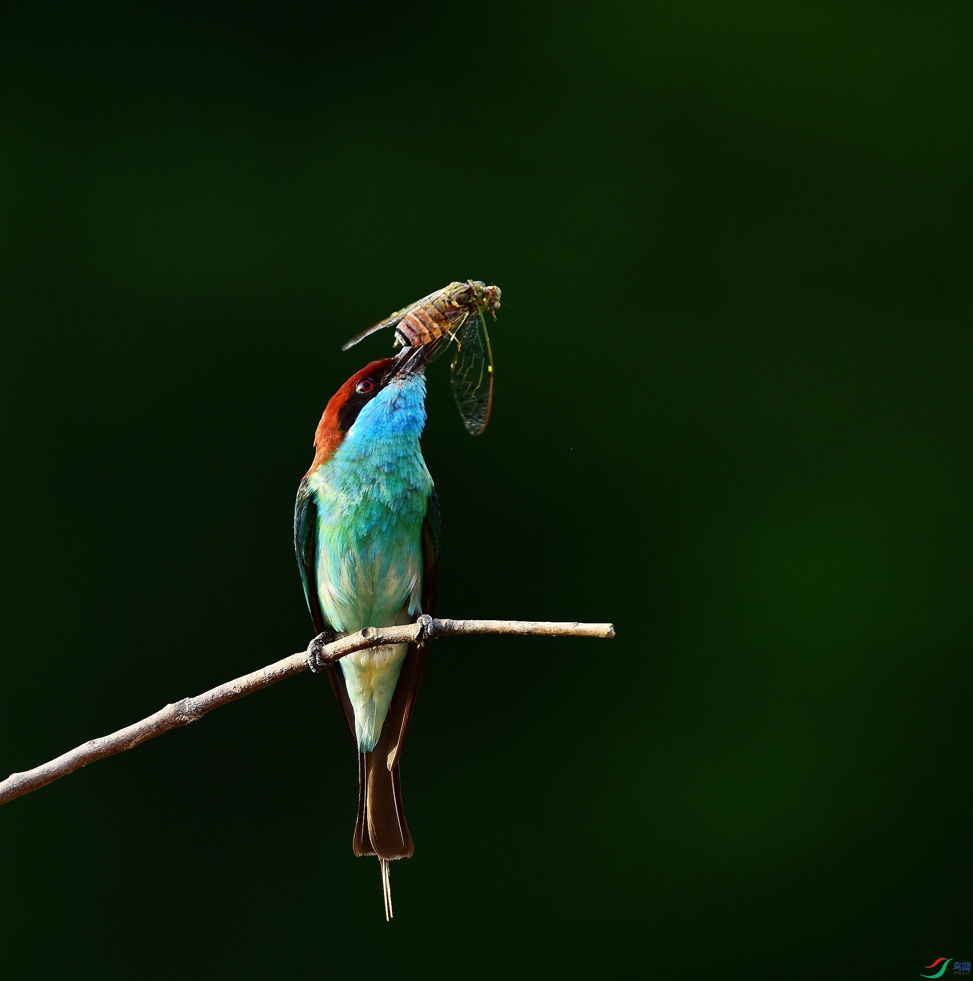 D8I_6537.jpg