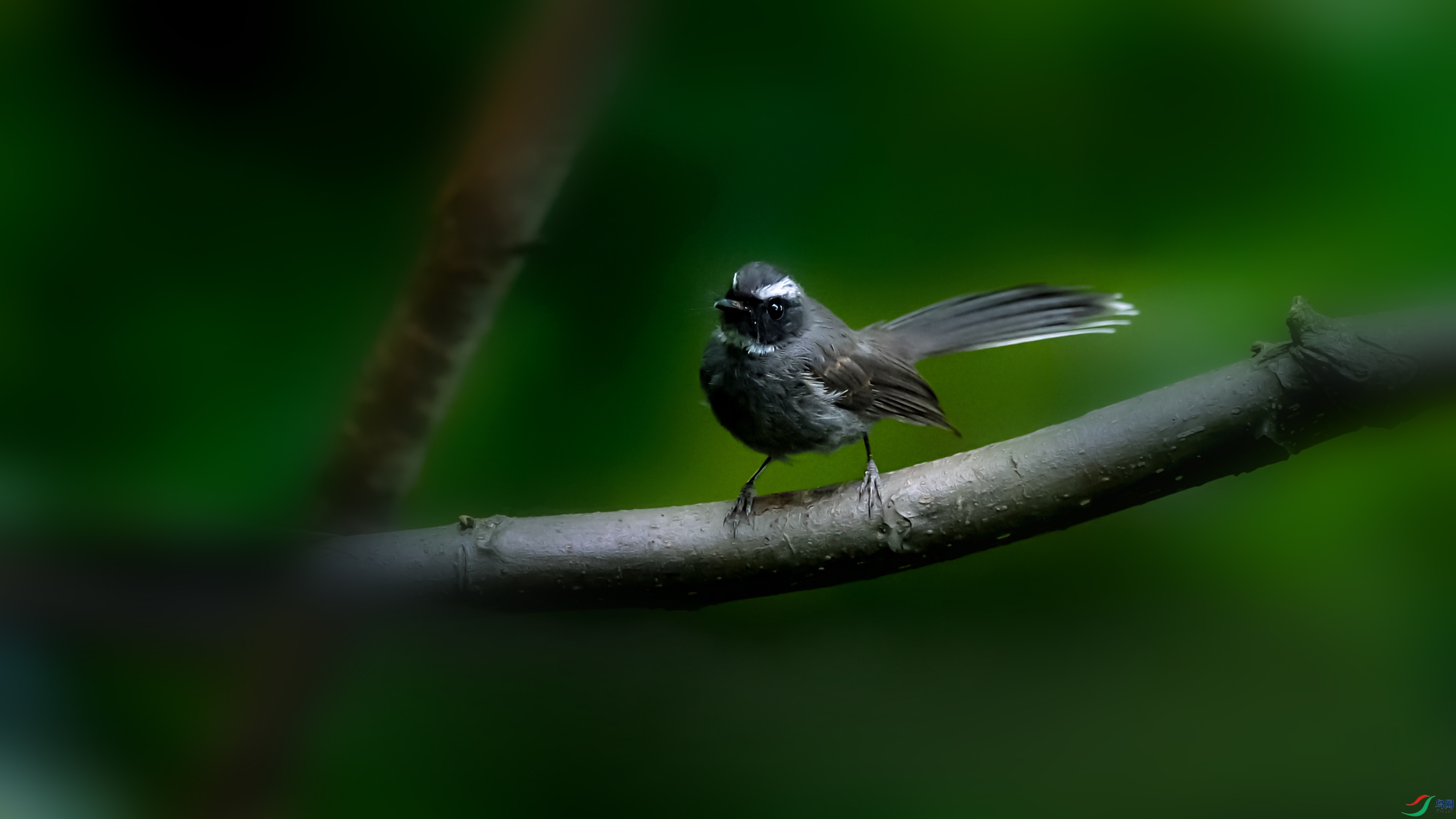 DSC_0619.jpg