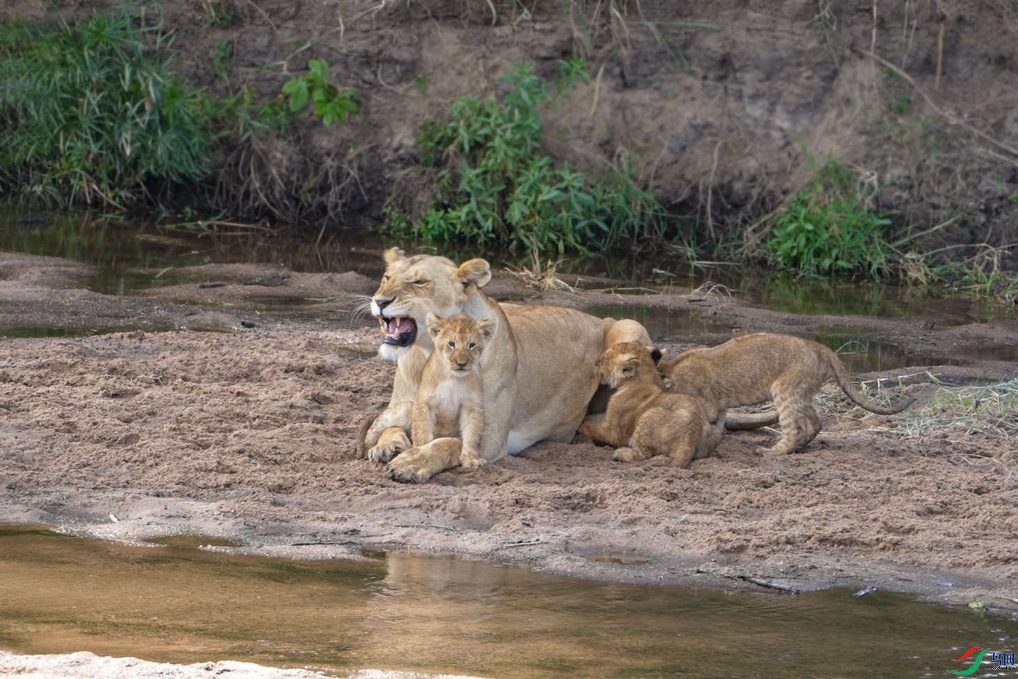 DSC_9097 ����.jpg