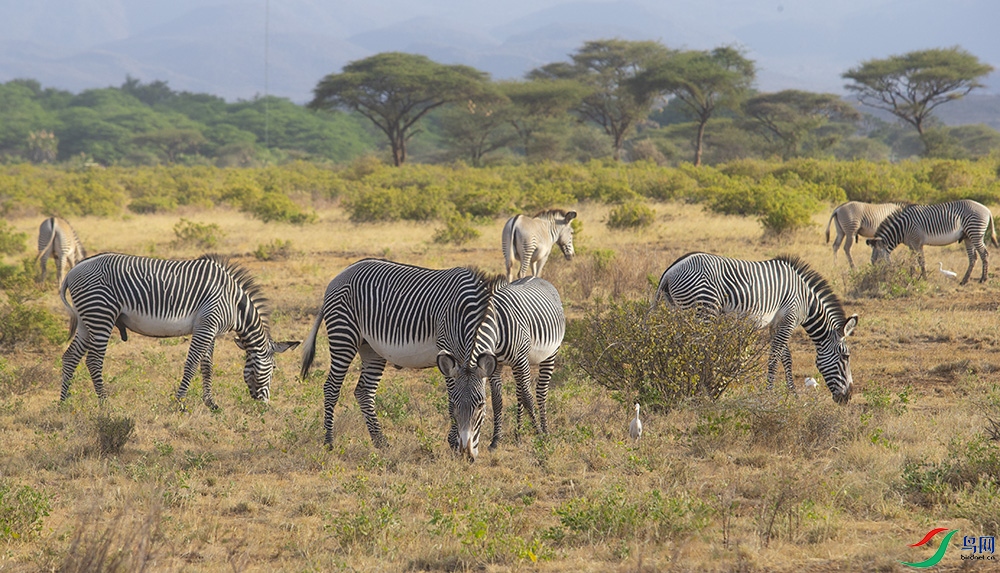 ���� (7).jpg