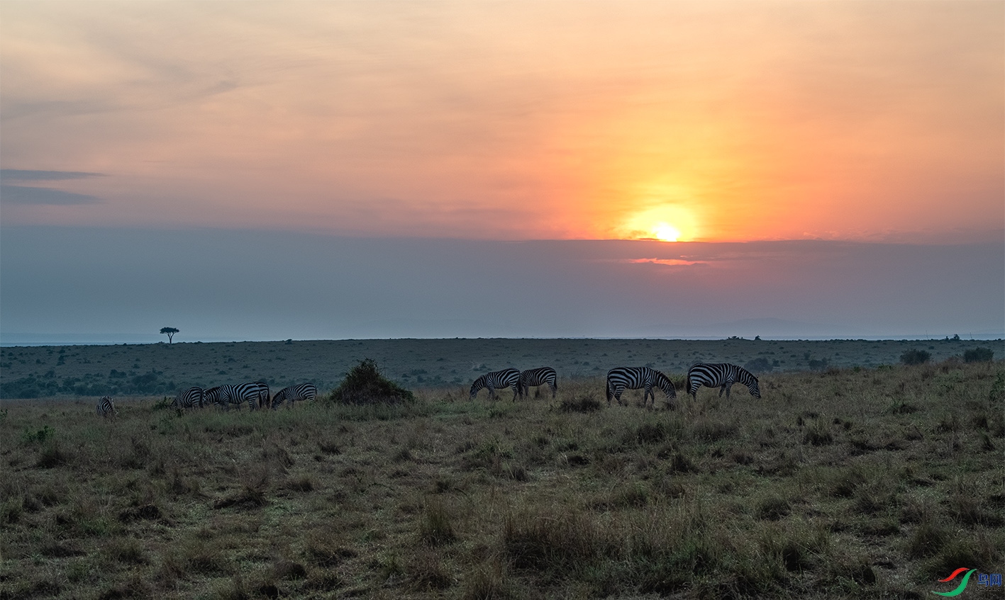 _DSC7830-HDR ����.jpg