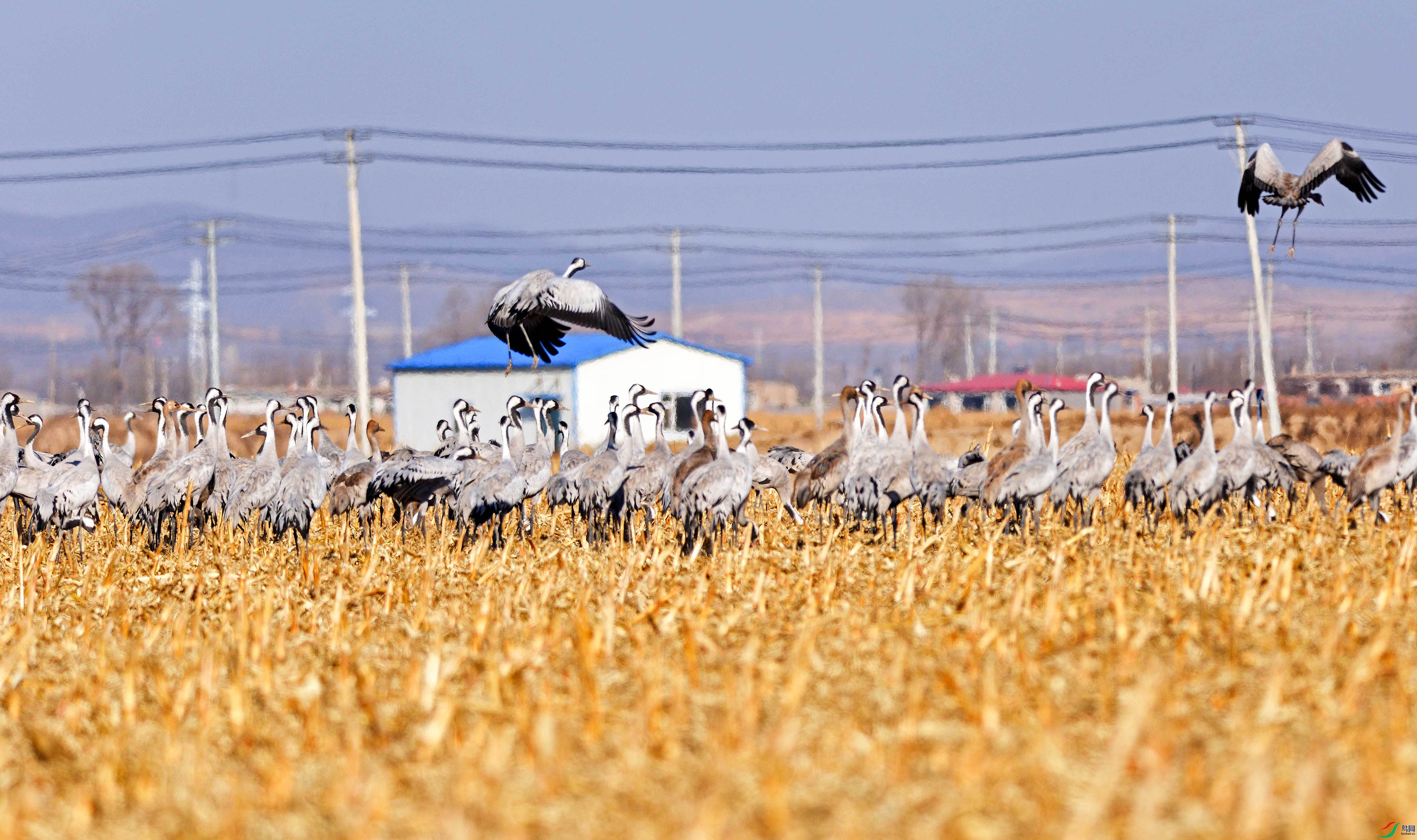 DSC_5597.jpg