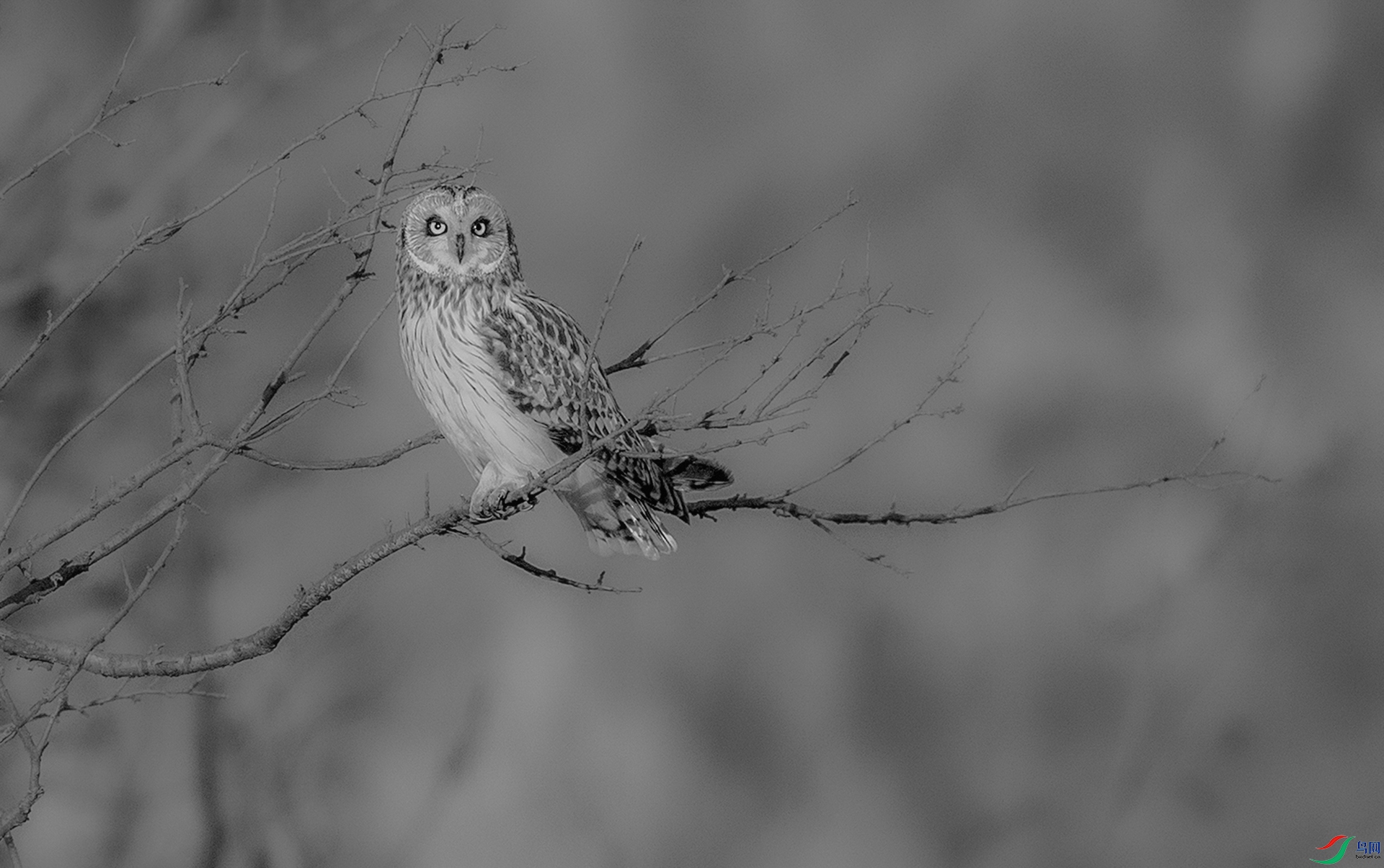 _K8I0817   �̶��^ 02.jpg