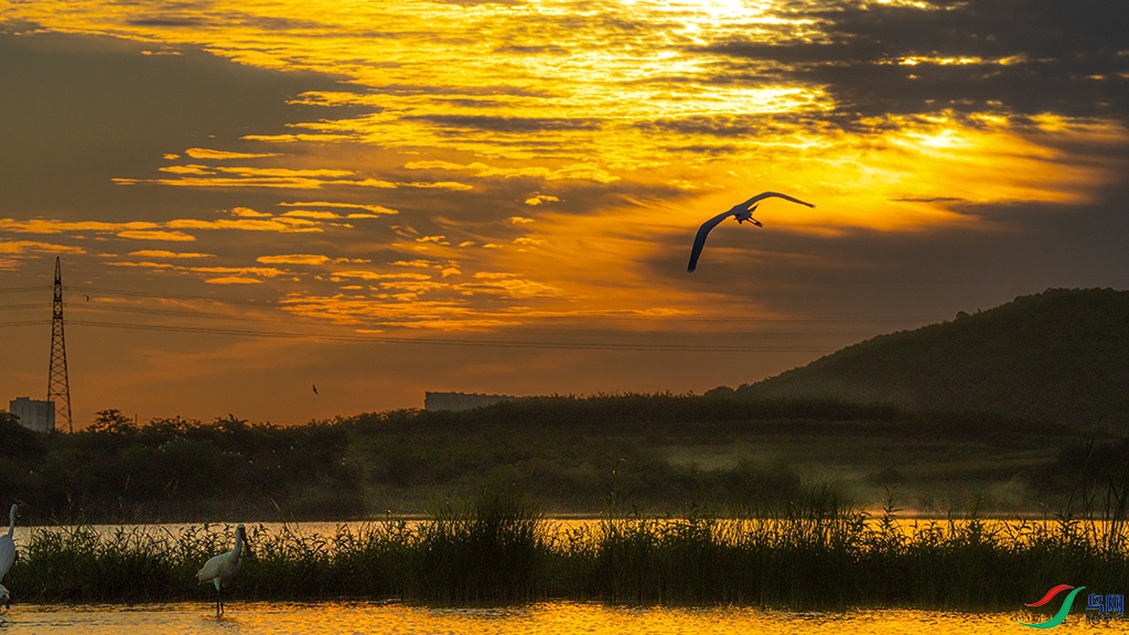 ��ϼ�����ʱ��