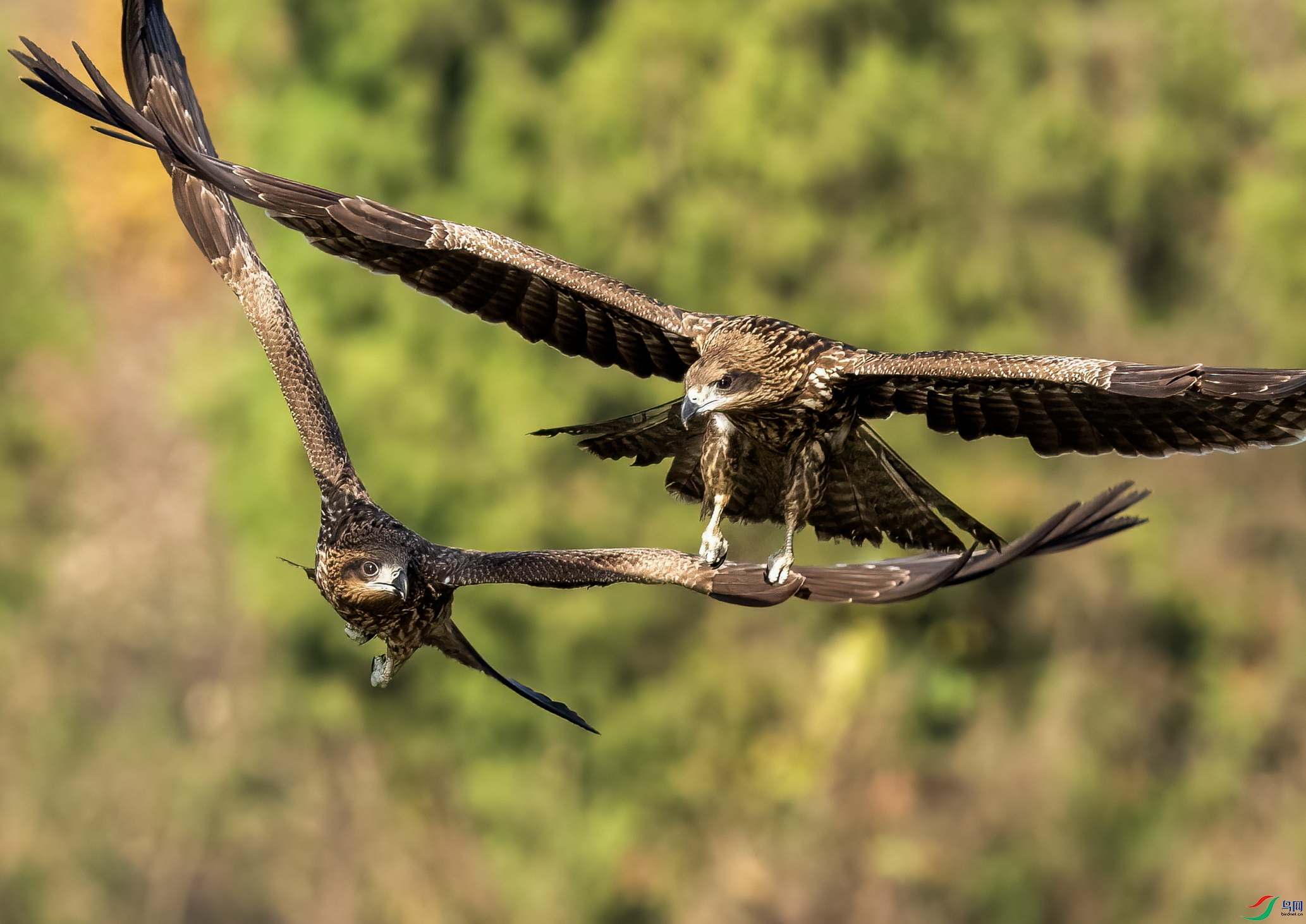 _DSC7251 ����2.jpgx.jpg