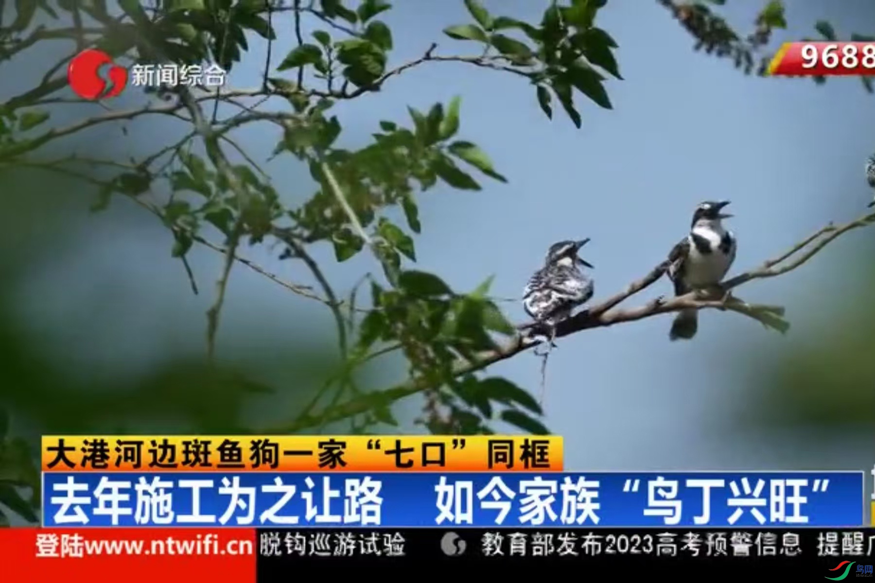 ������ᱣ������