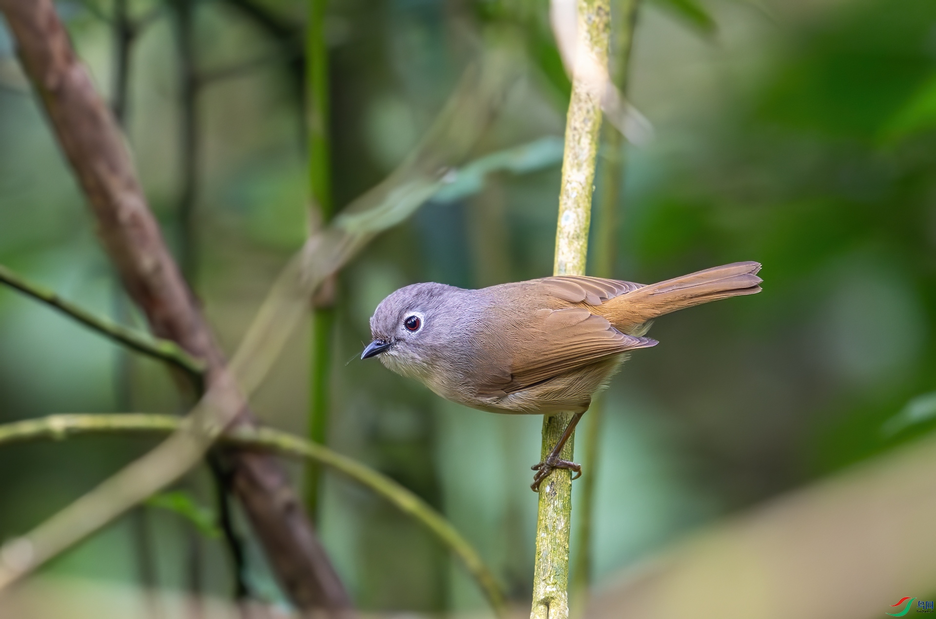 DSC_6853.jpg