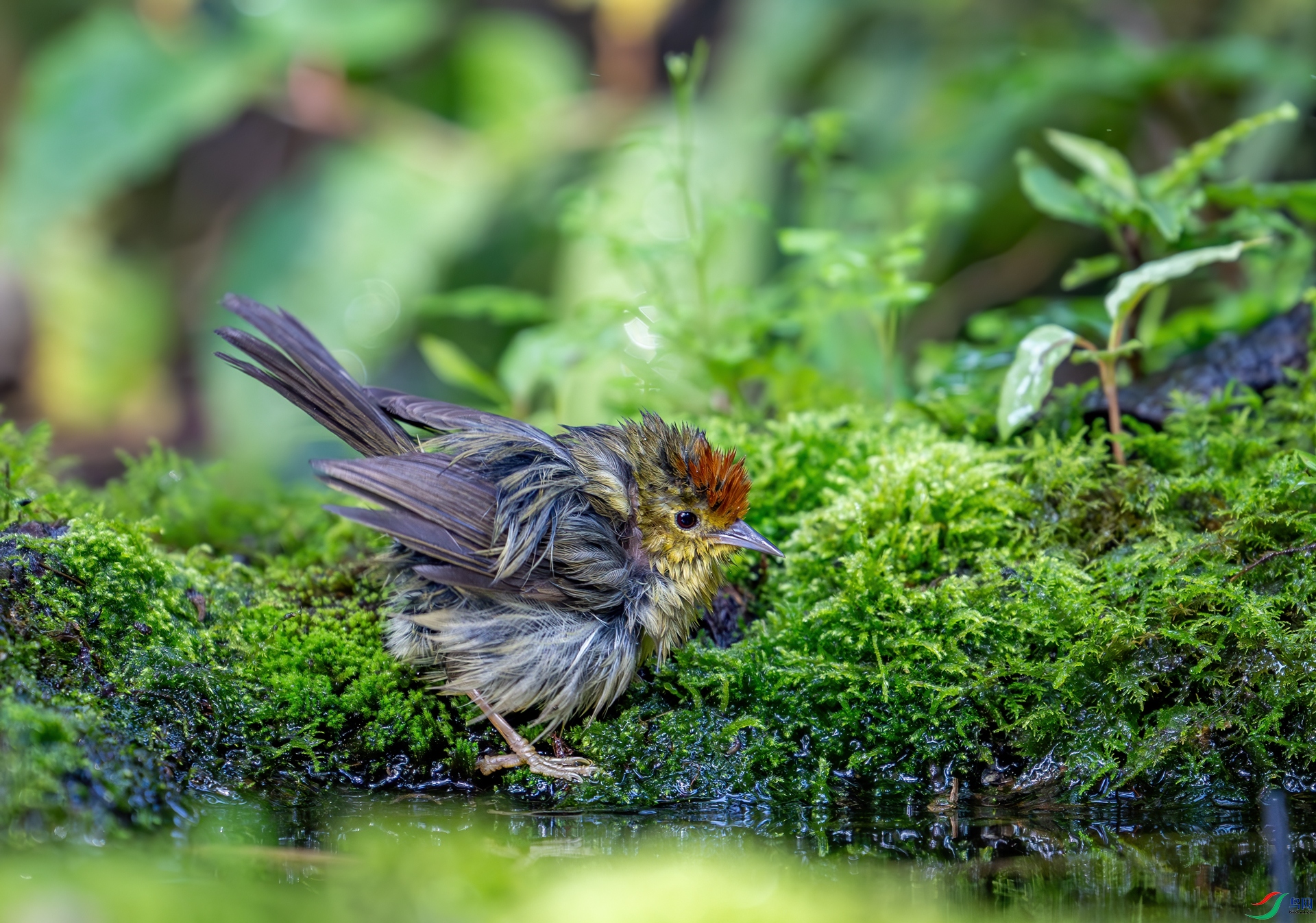 DSC_7193.jpg