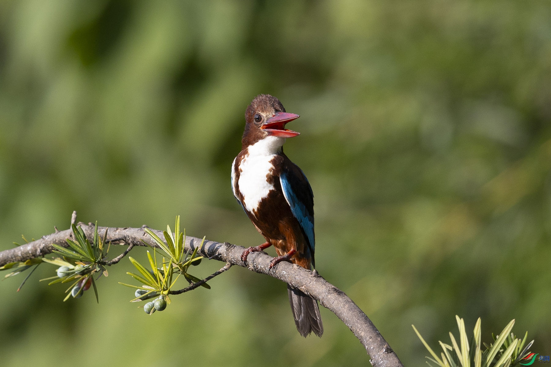 �������3