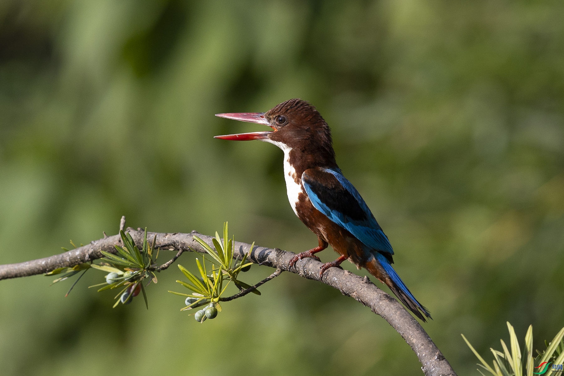 �������6