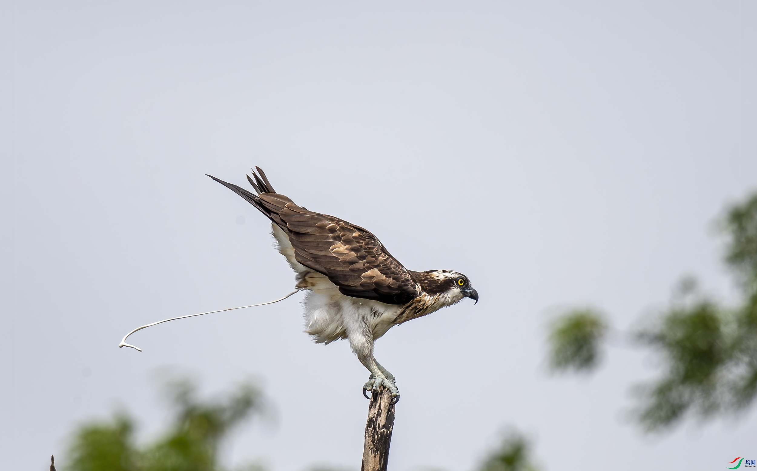 AC3I7753 ����.jpg