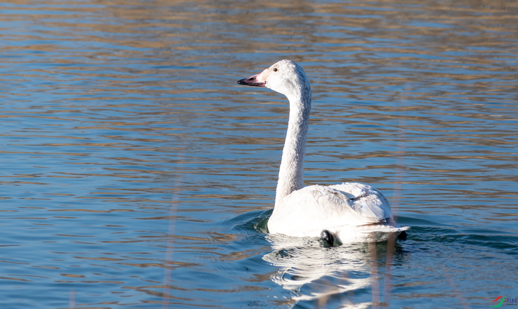 DSC_5684.jpg