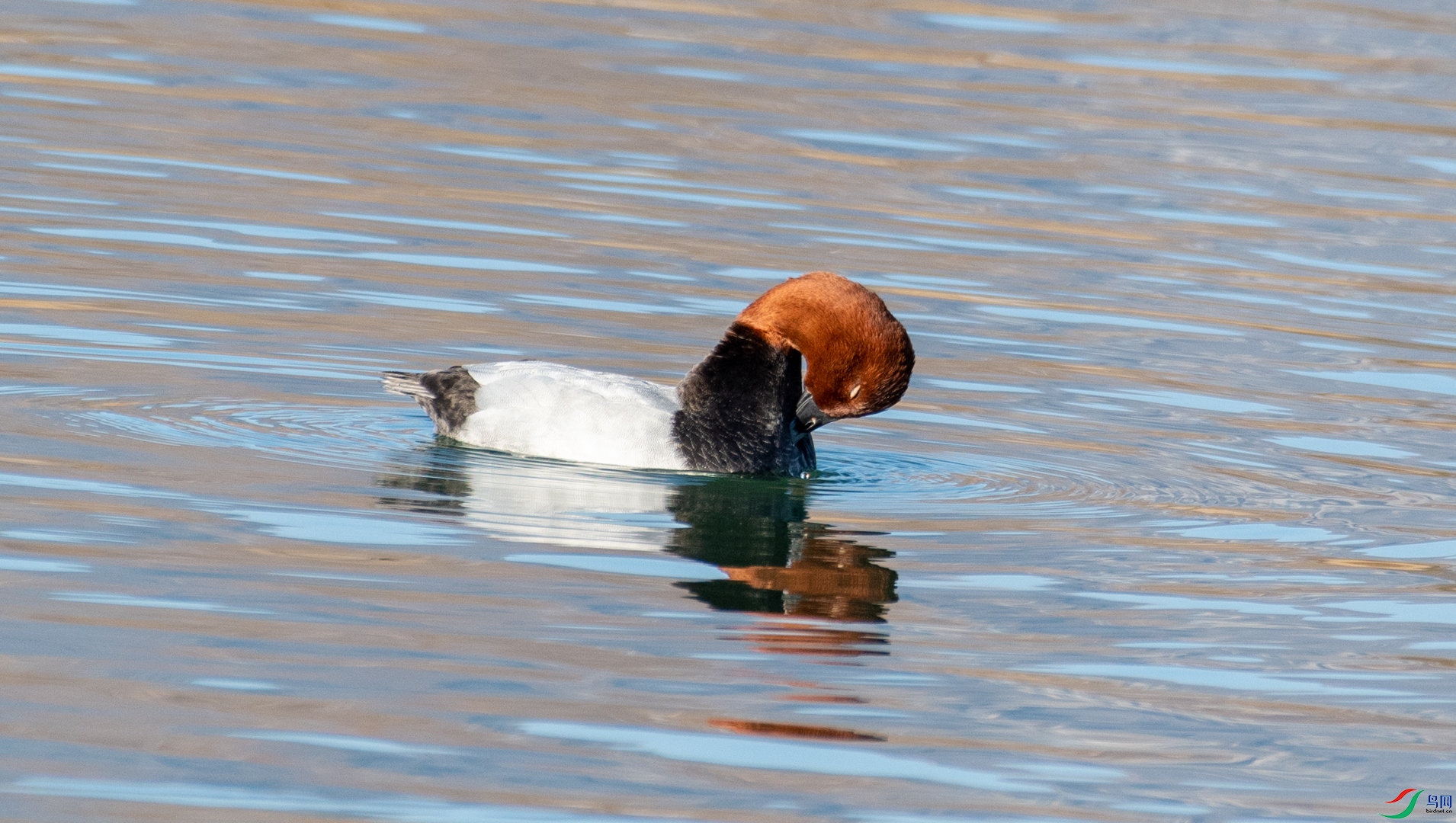 DSC_5748.jpg