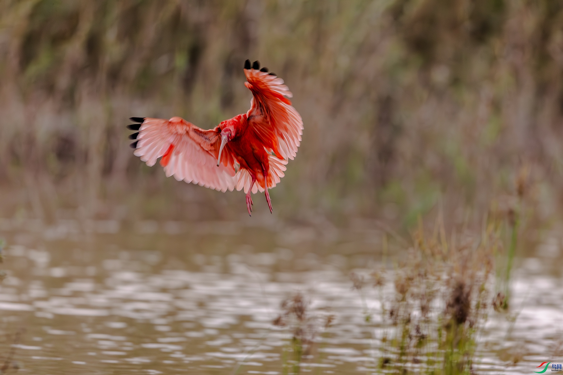 1I9A9983-1ab.jpg