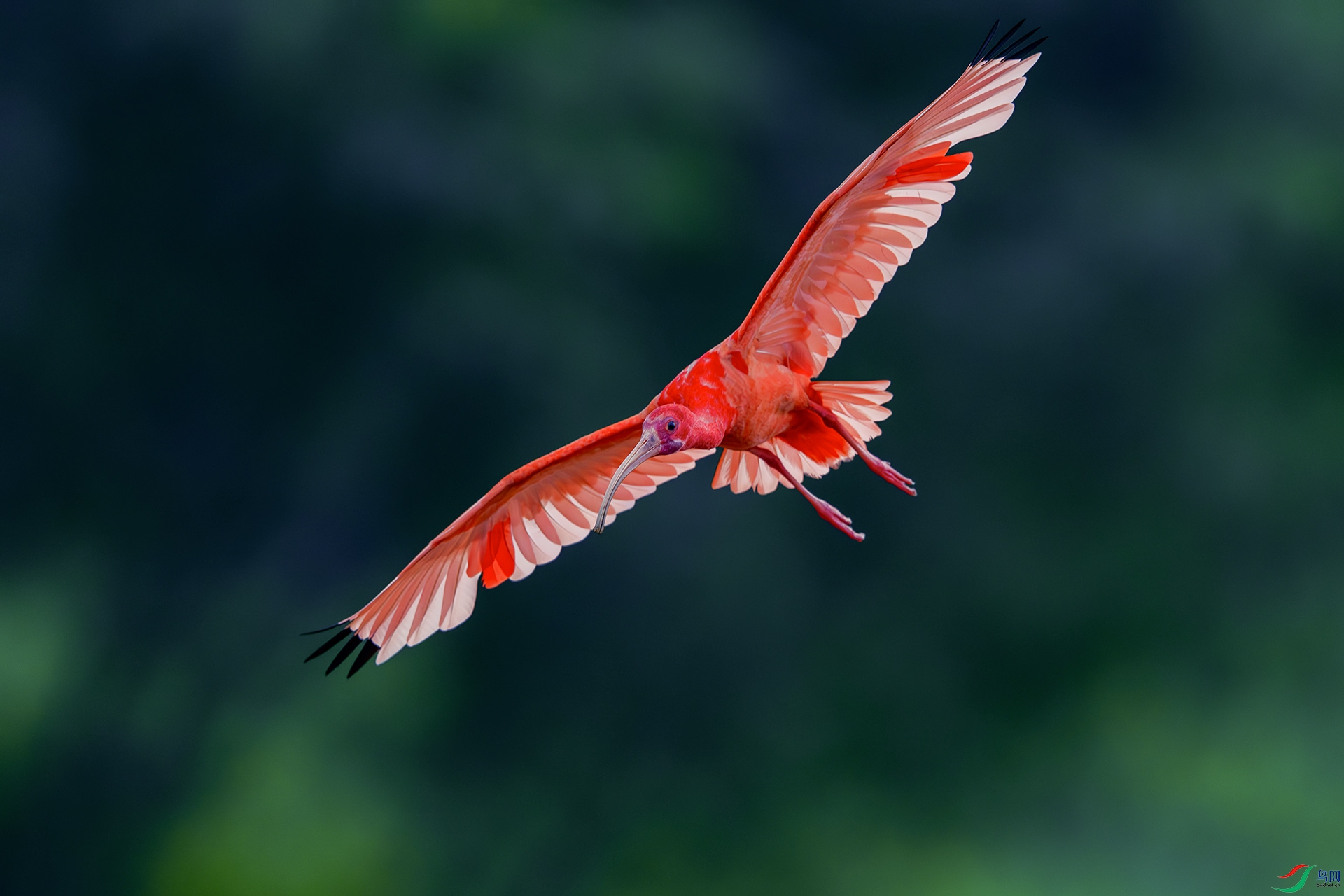 1I9A9725-1ab.jpg