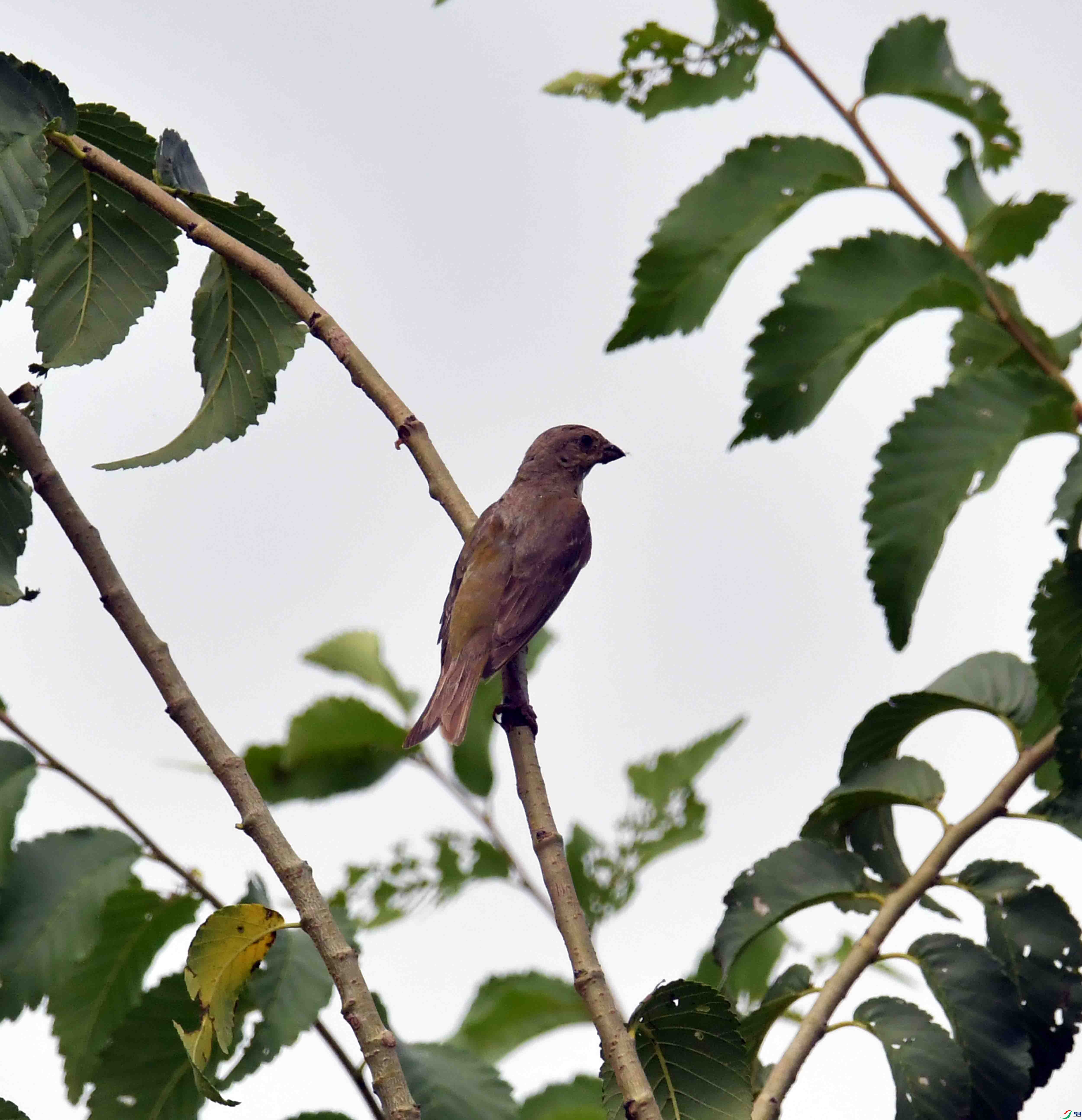 DSC_2848.JPG