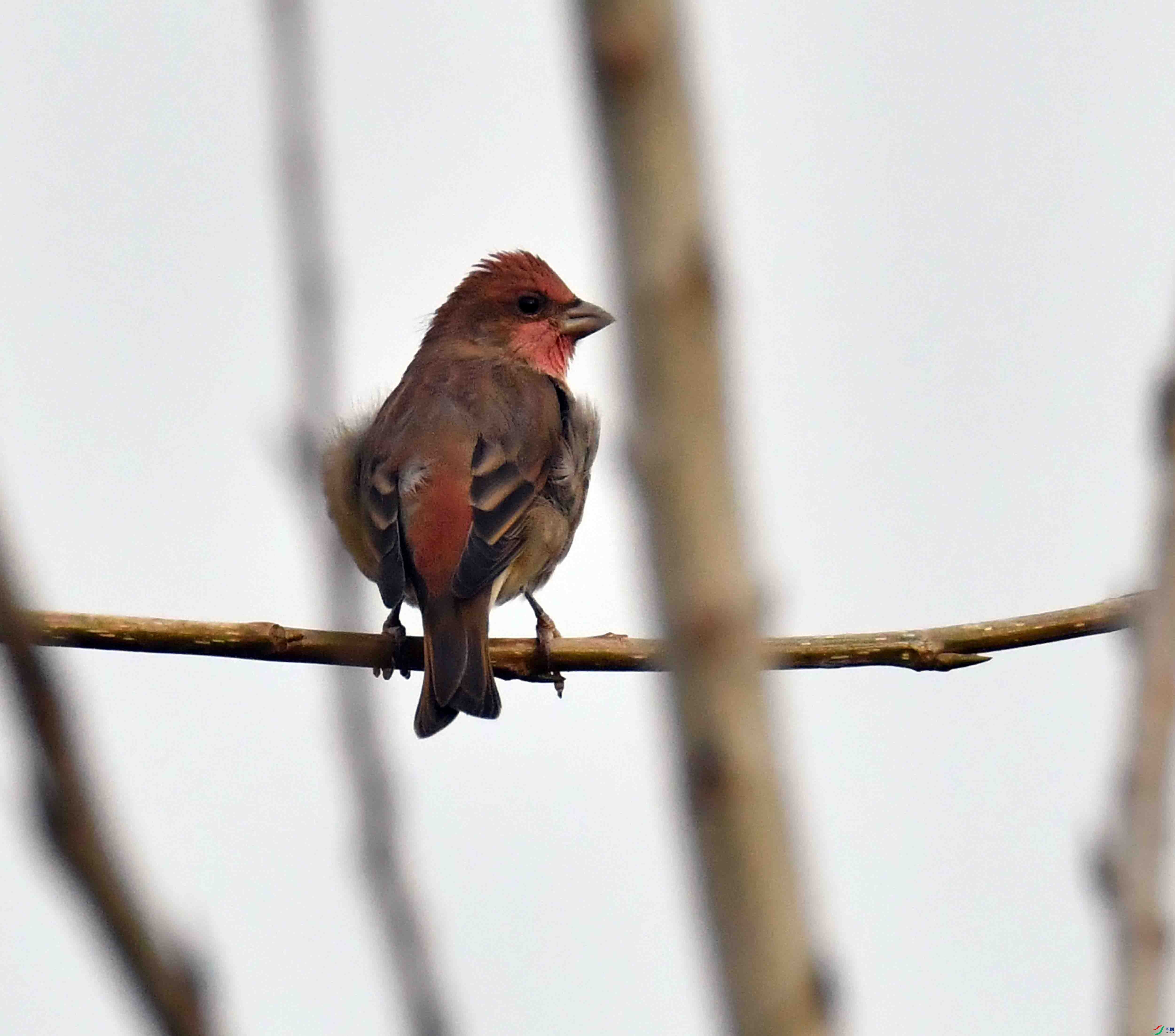 DSC_7269.JPG