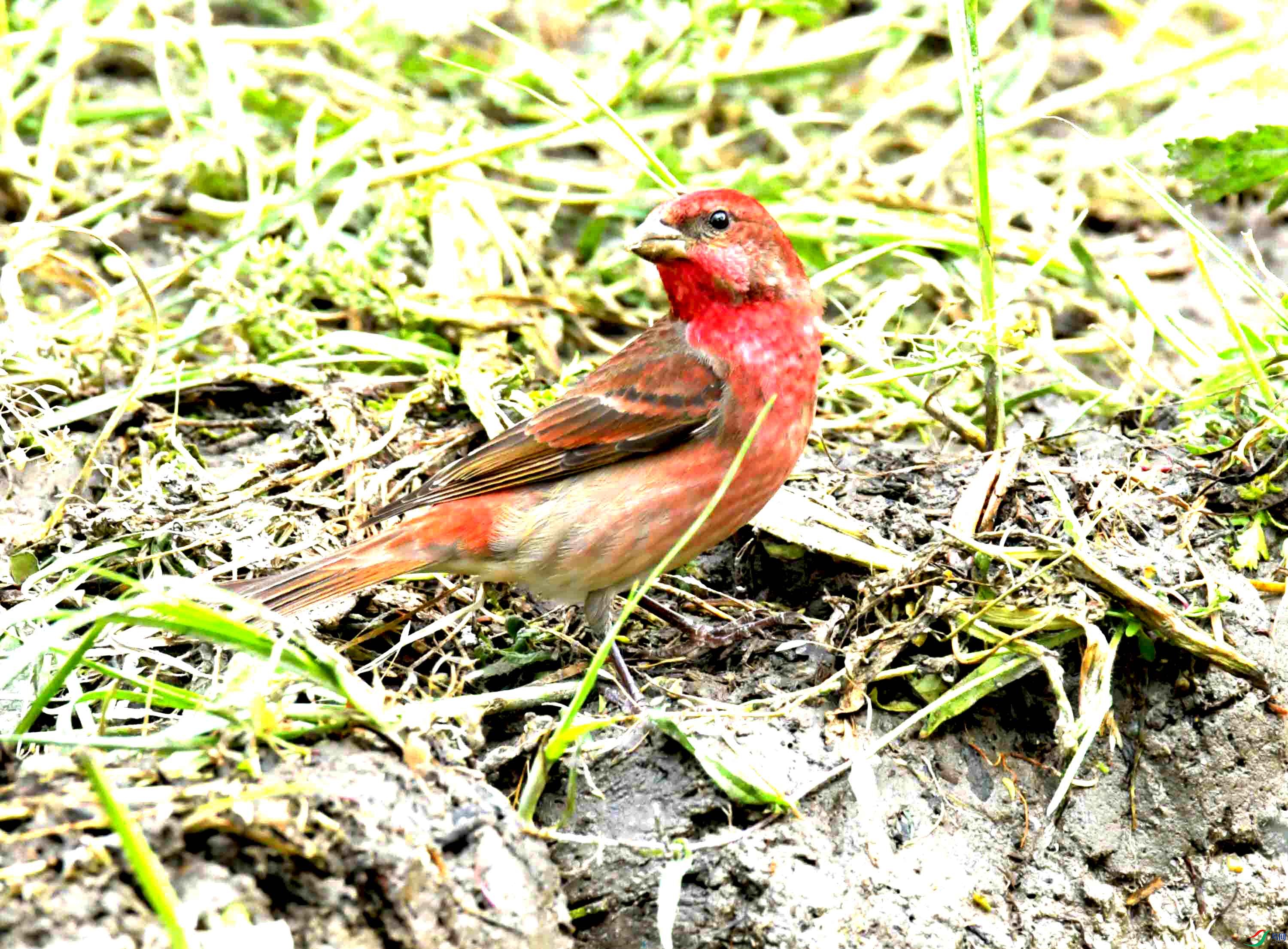 DSC_8656.JPG