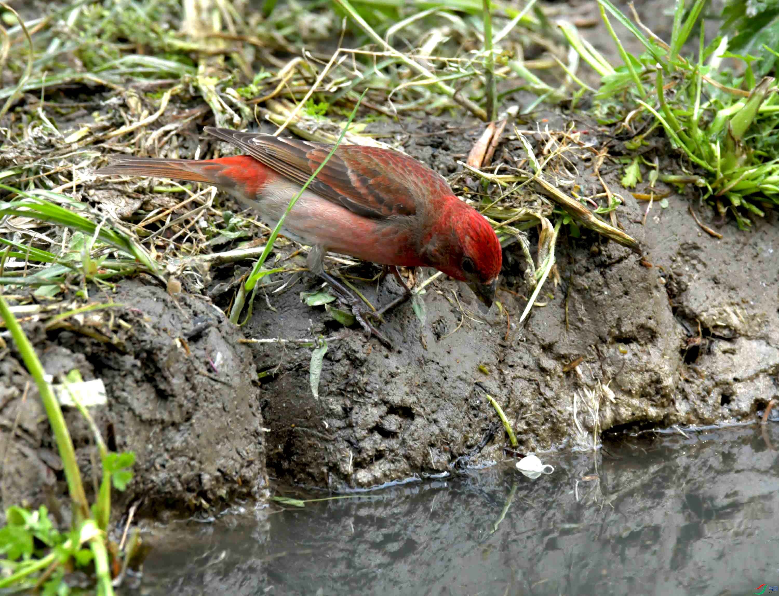 DSC_8686.JPG