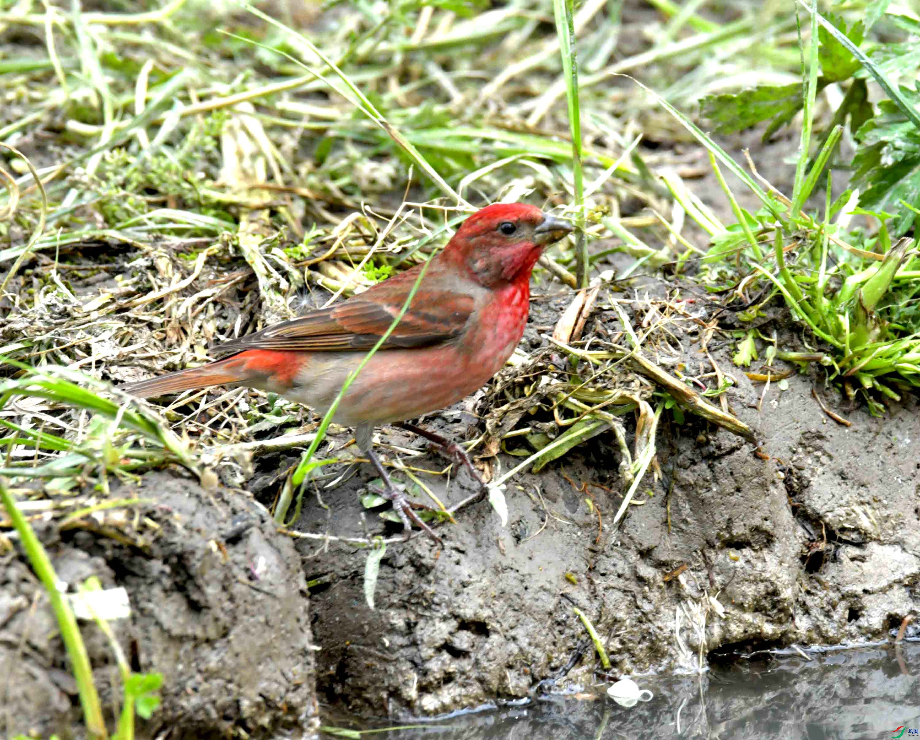 DSC_8672.JPG