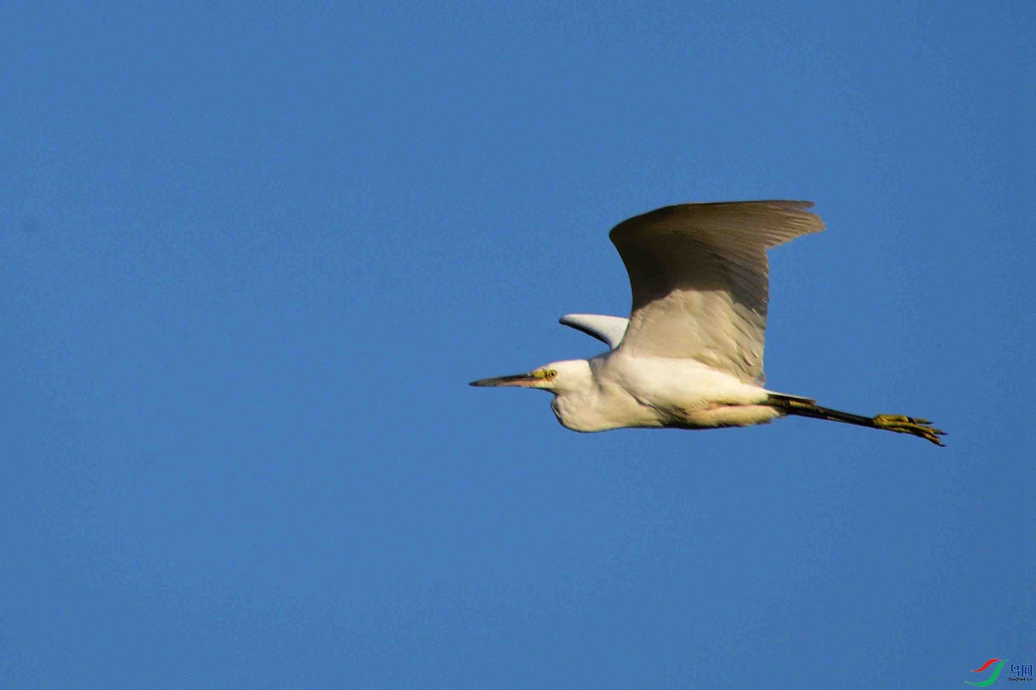 DSC_7069.JPG