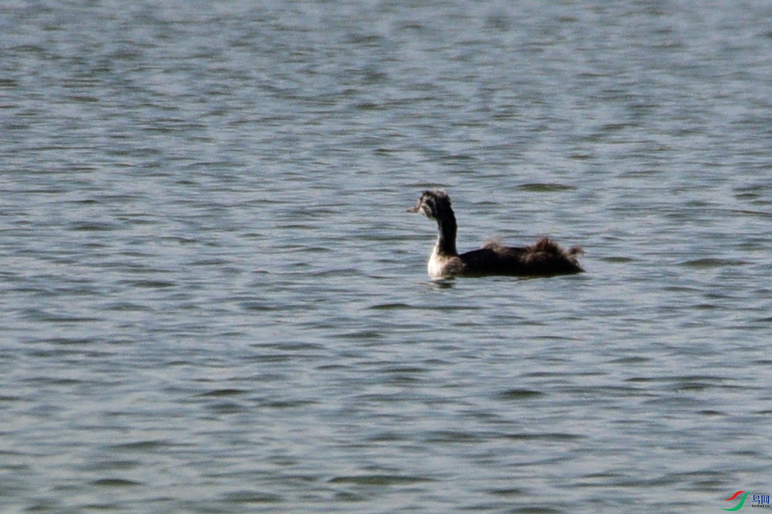 DSC_7174.JPG