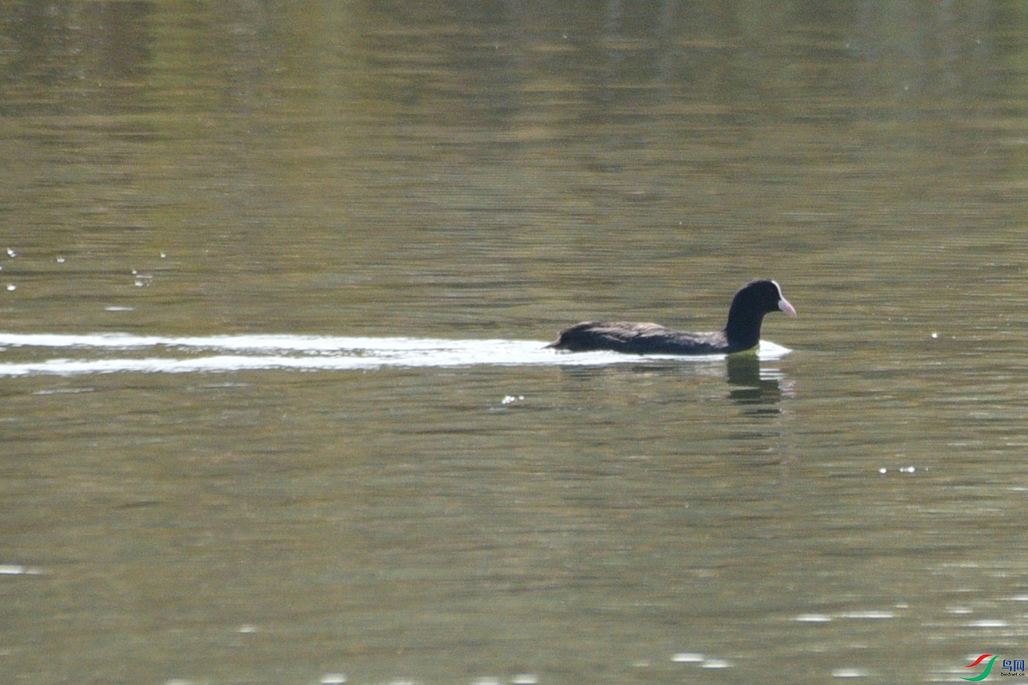 DSC_7183.JPG