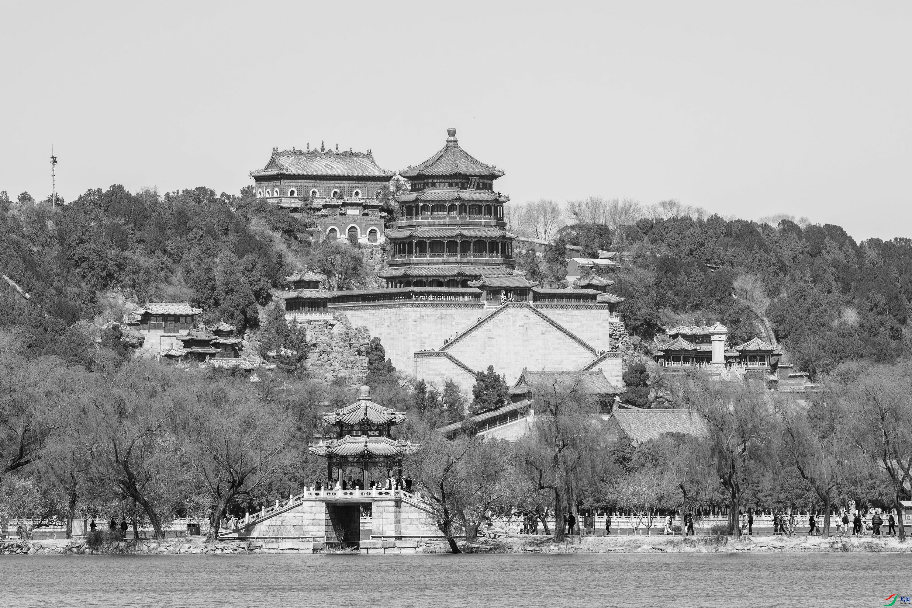 DSC_7884- ����.jpg