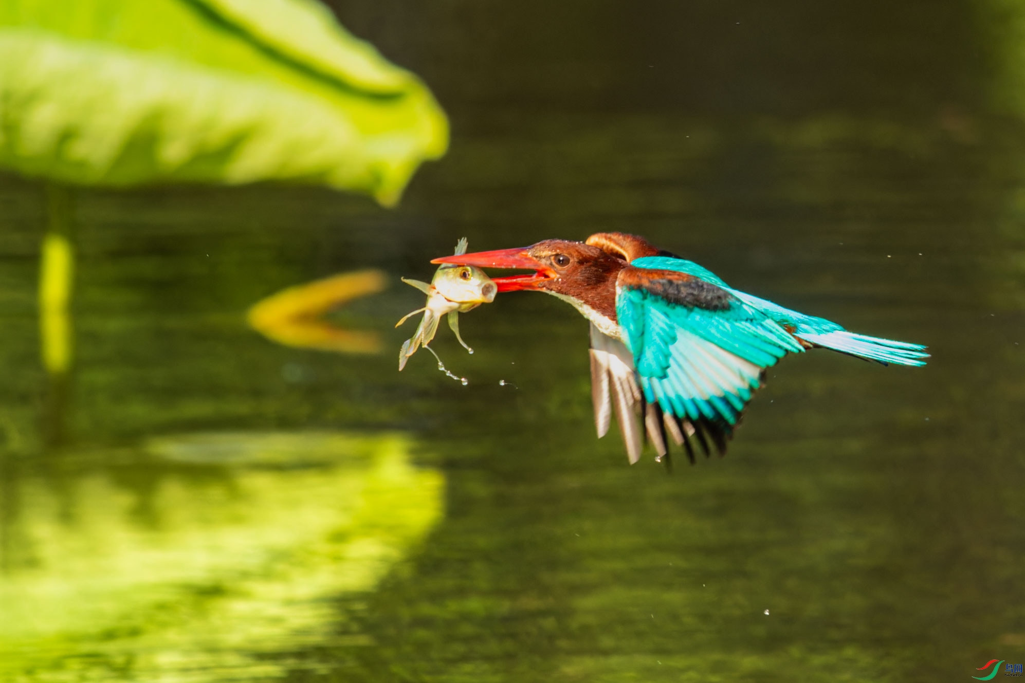_00A2539-CR2_DxO_DeepPRIMEXD-1.jpg