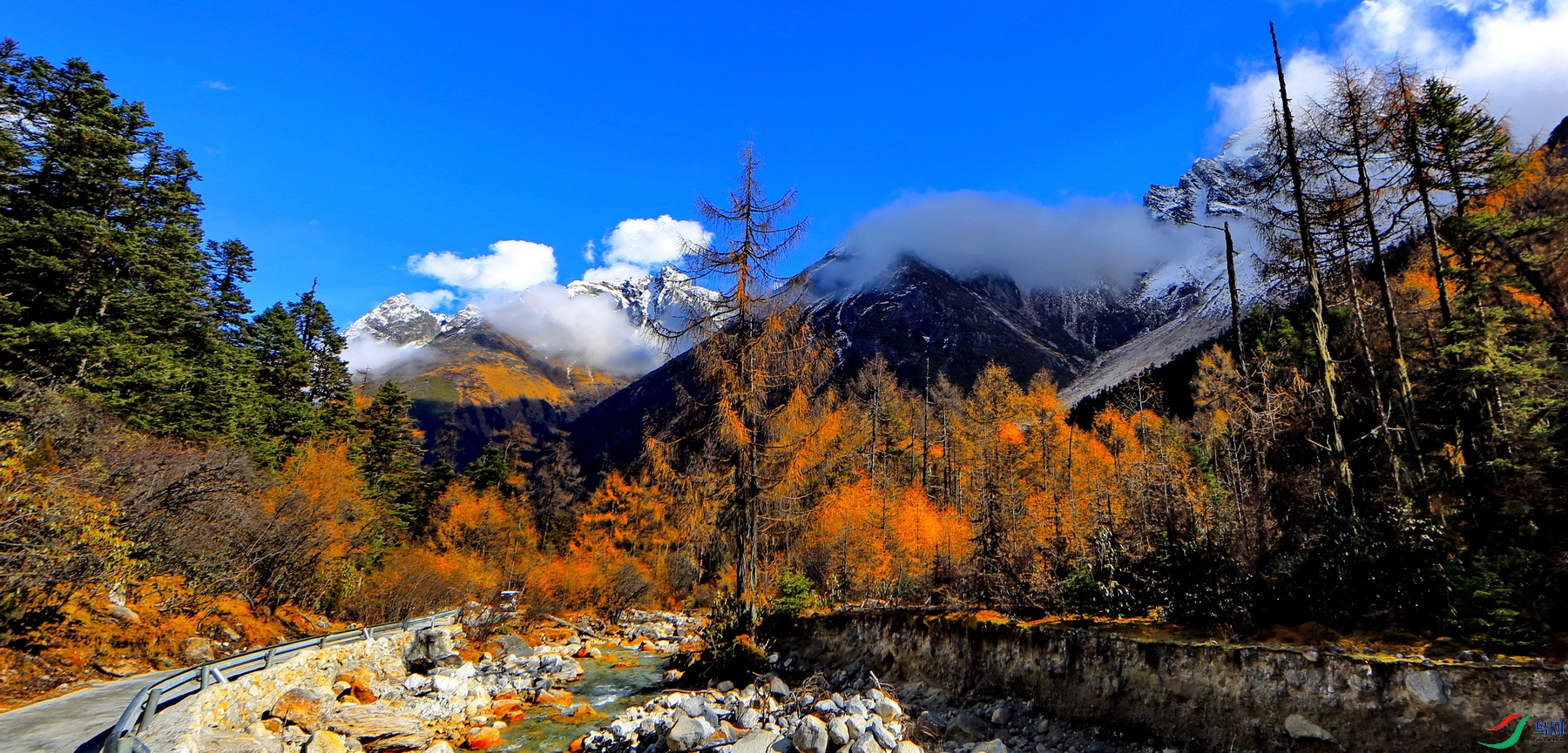 ���﹵֮һ (47).JPG