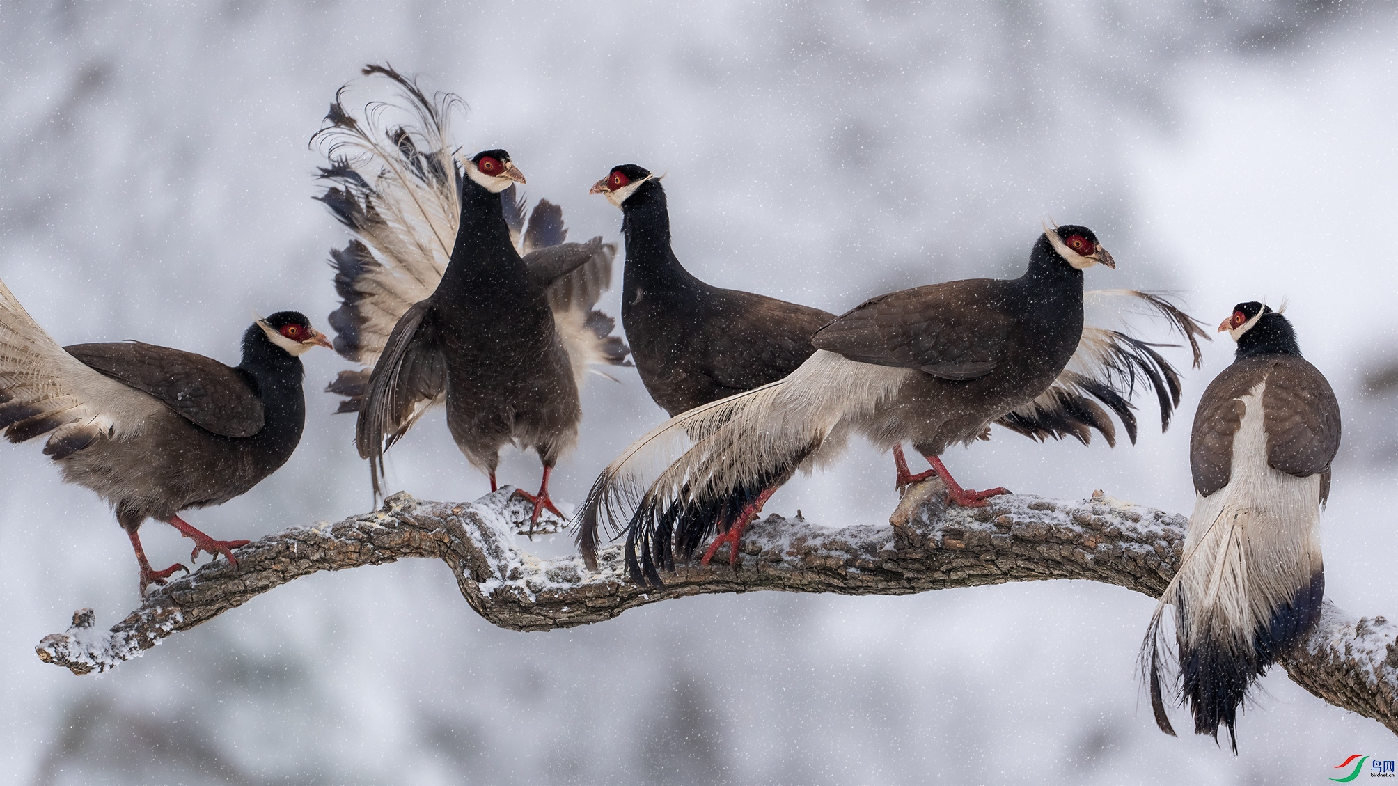 DSC05831-С ����.jpg