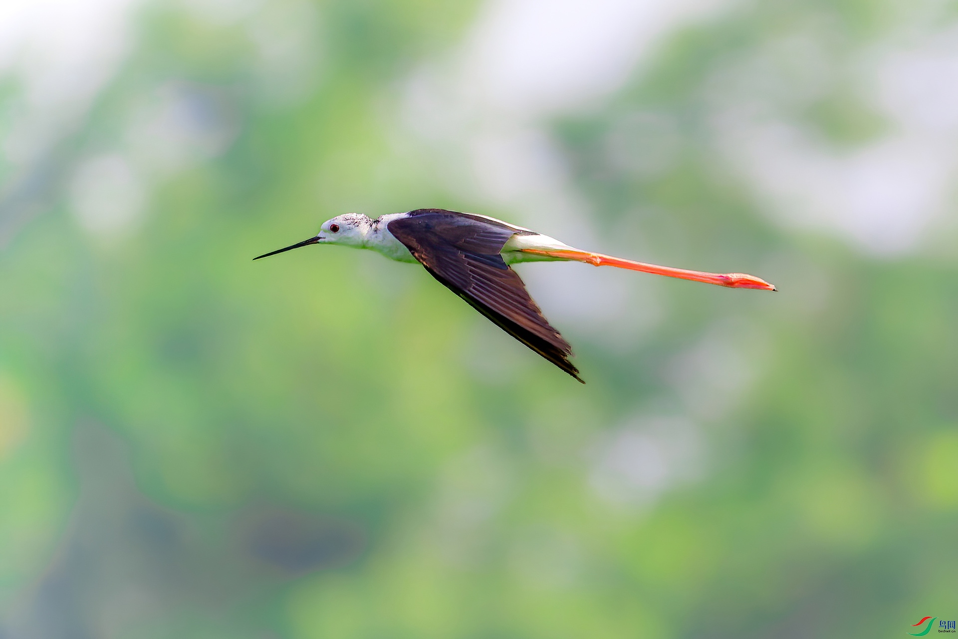 _MG_6807.jpg