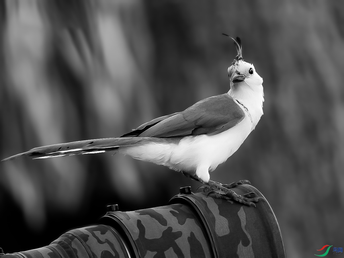 �׺�ȵѻBH0P0170_���� ����.jpg