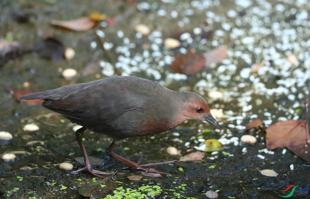 DSC20231025170.jpg
