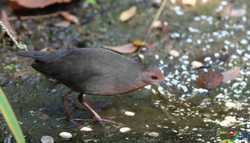 DSC20231025198.jpg