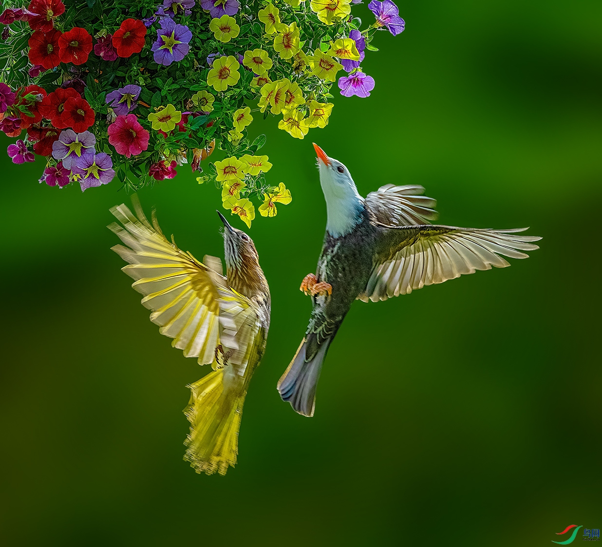 ����������