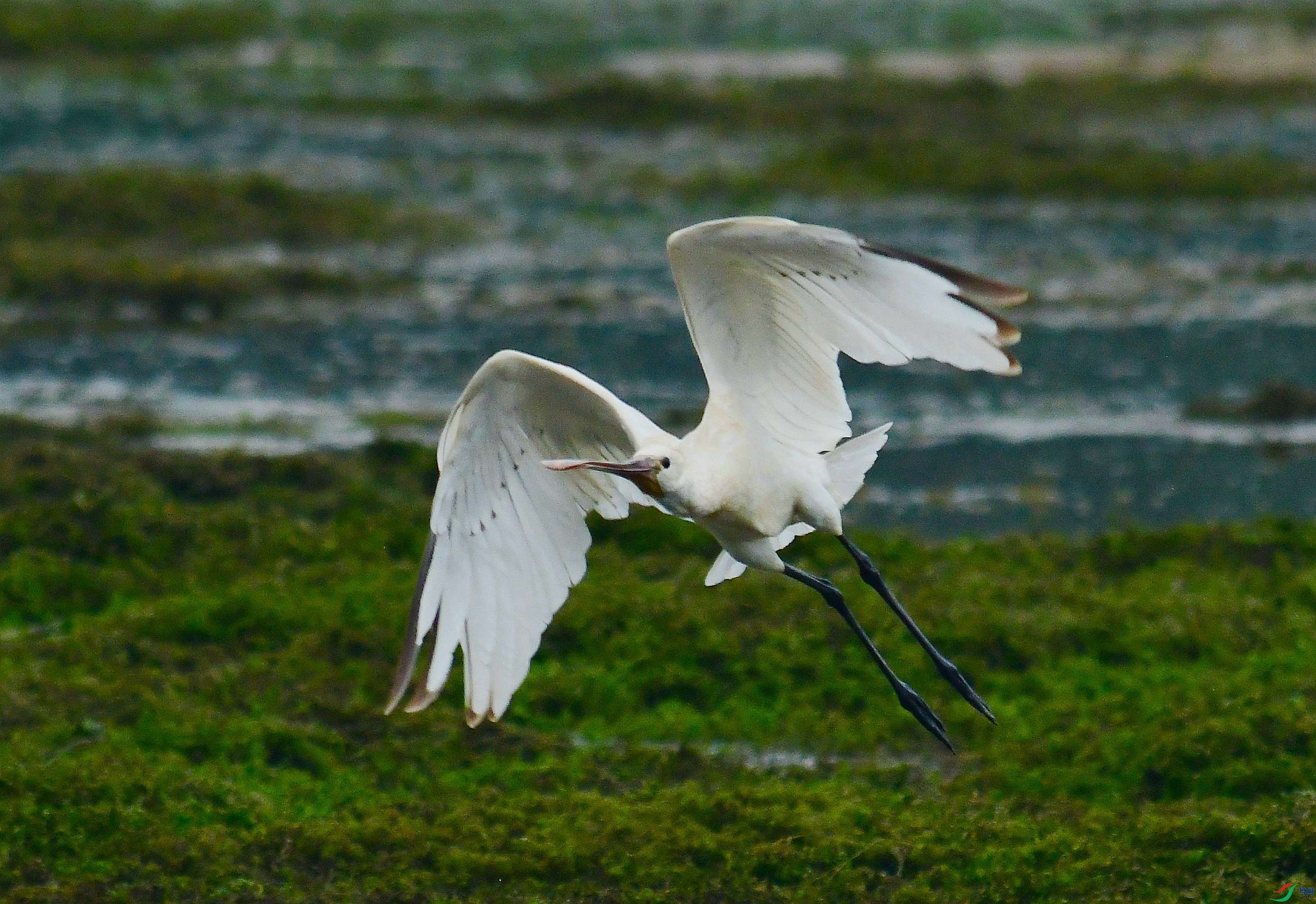DSC_5973.JPG