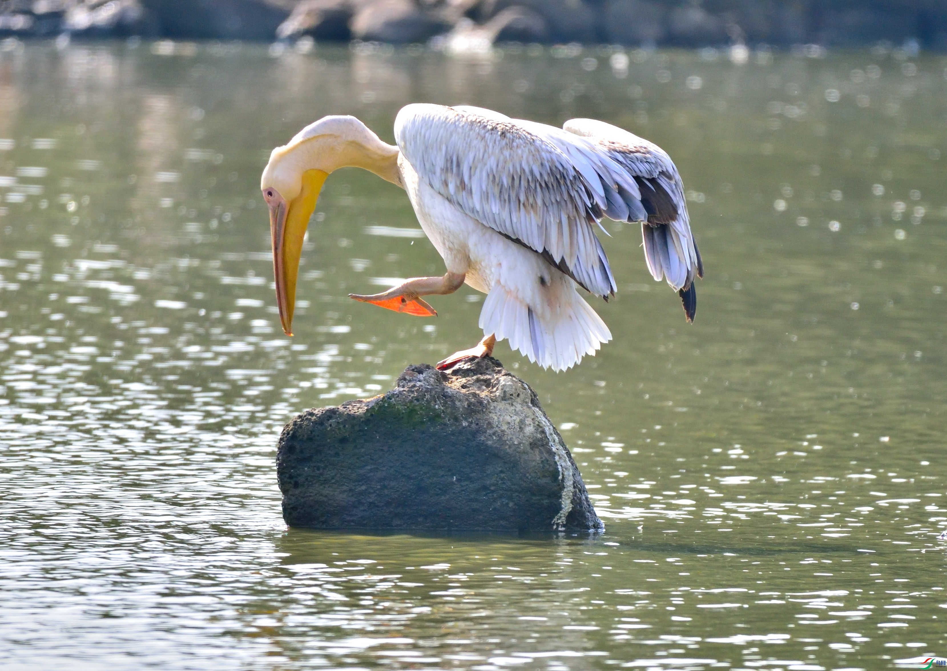 DSC_8629.JPG