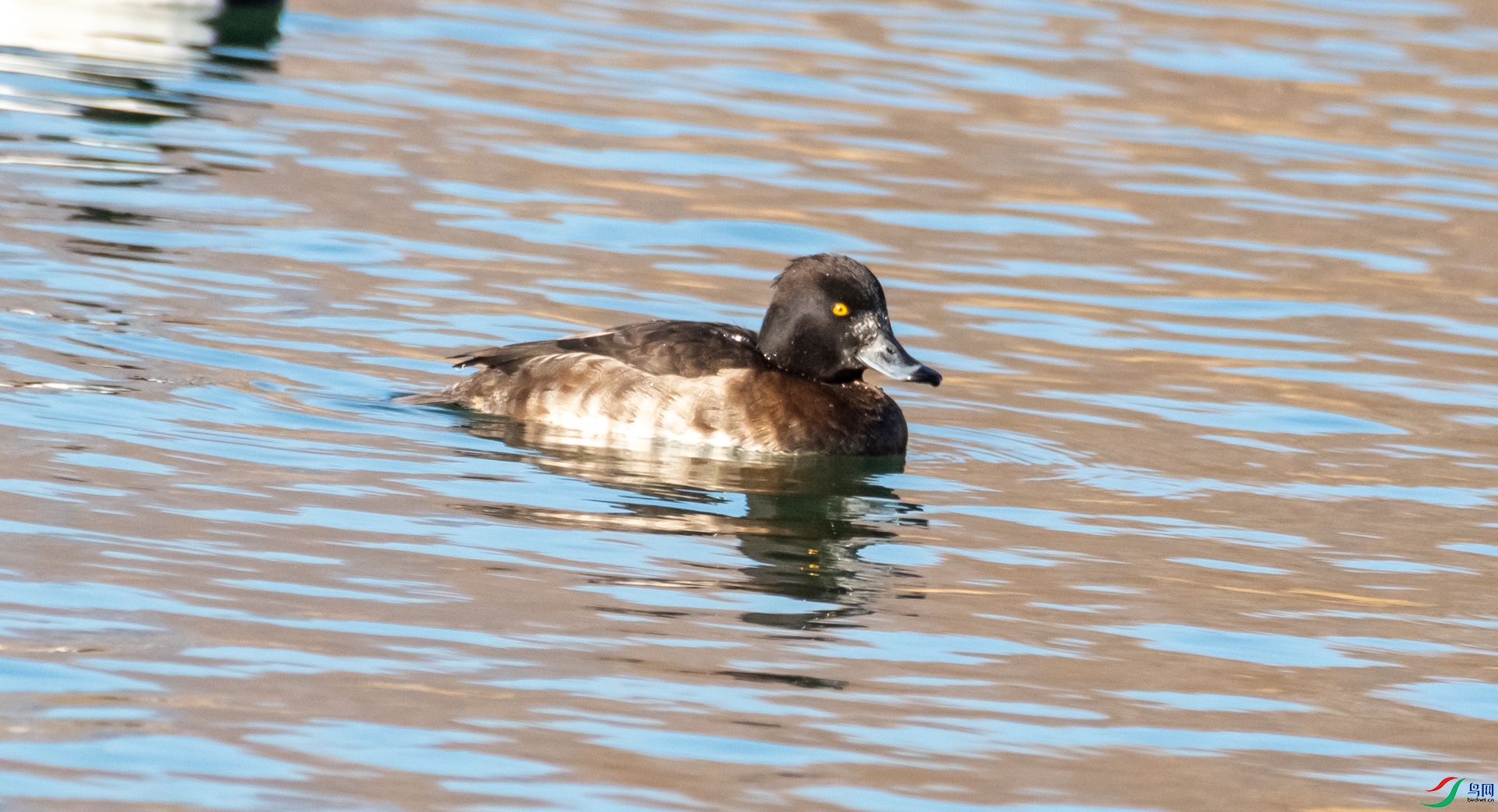 DSC_5802.jpg